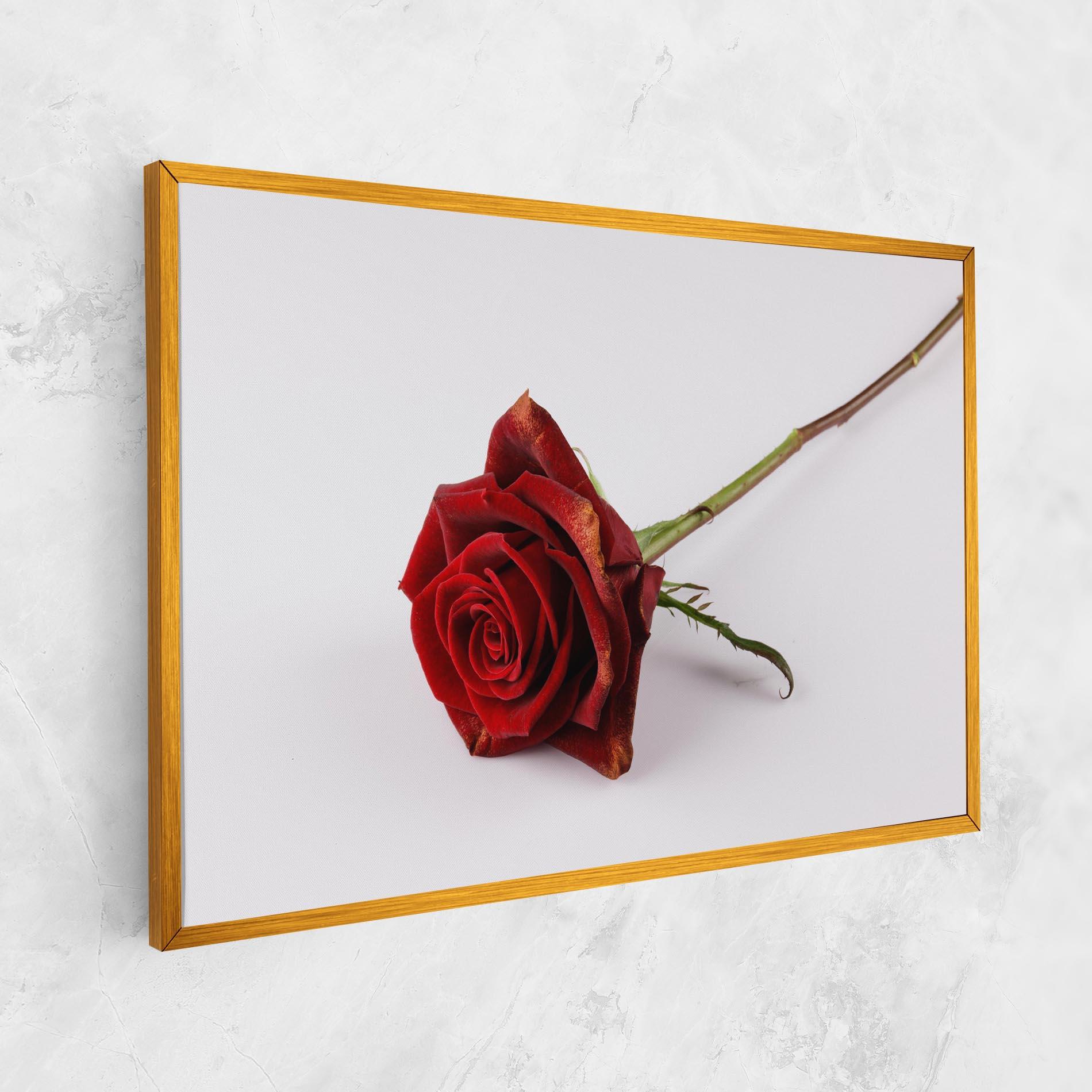 Tablou Canvas Lonely Rose mockup 1