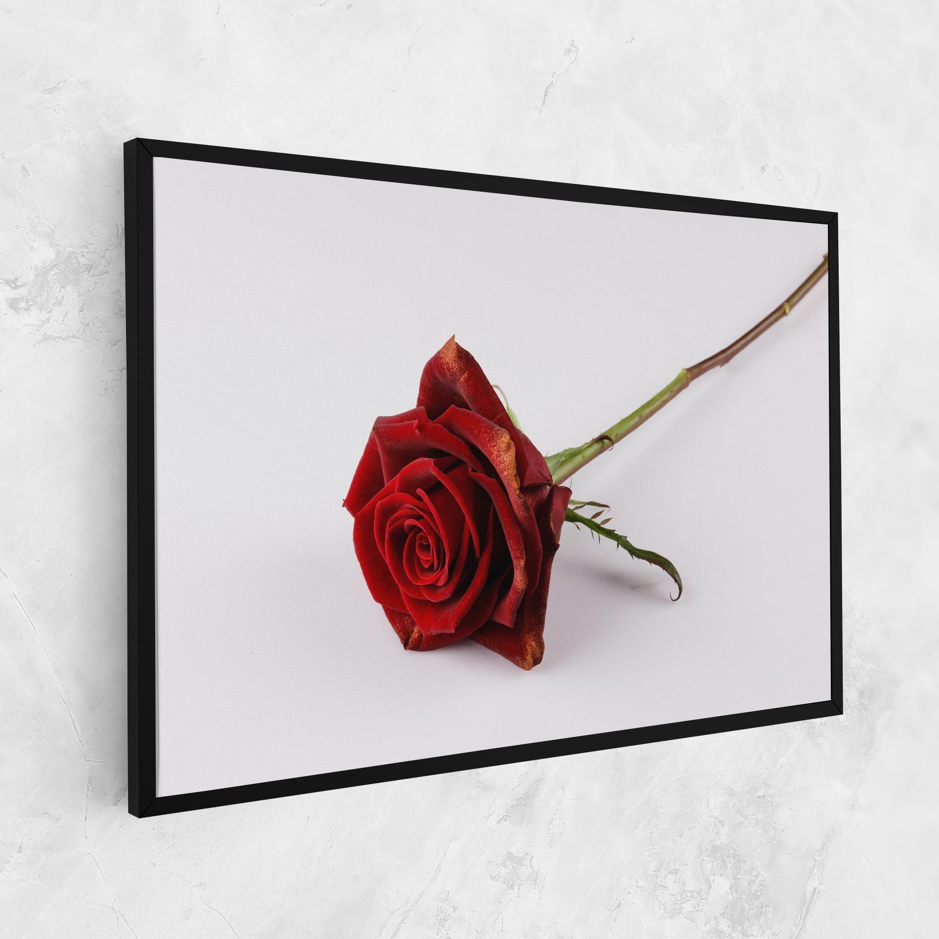 Lonely Rose mockup 1