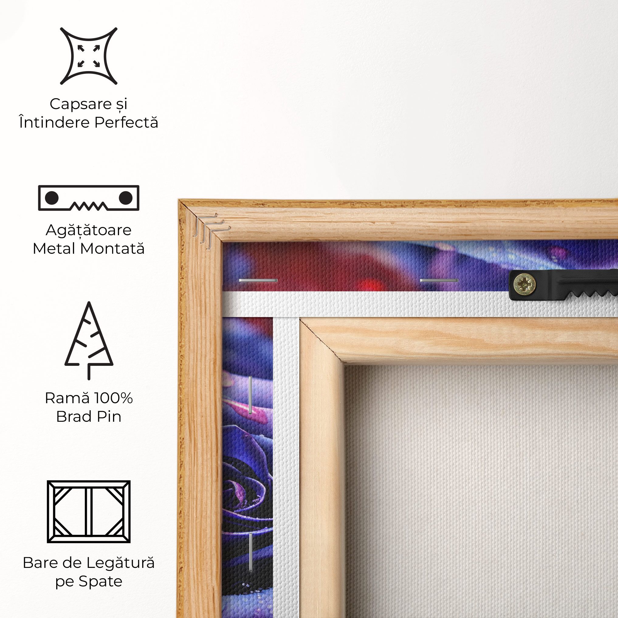 Blue Purple Rose mockup 5