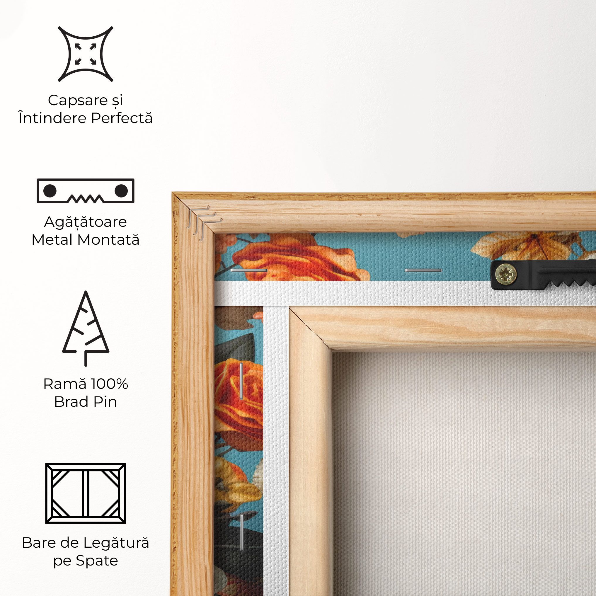 Orange Cream Rose mockup 5