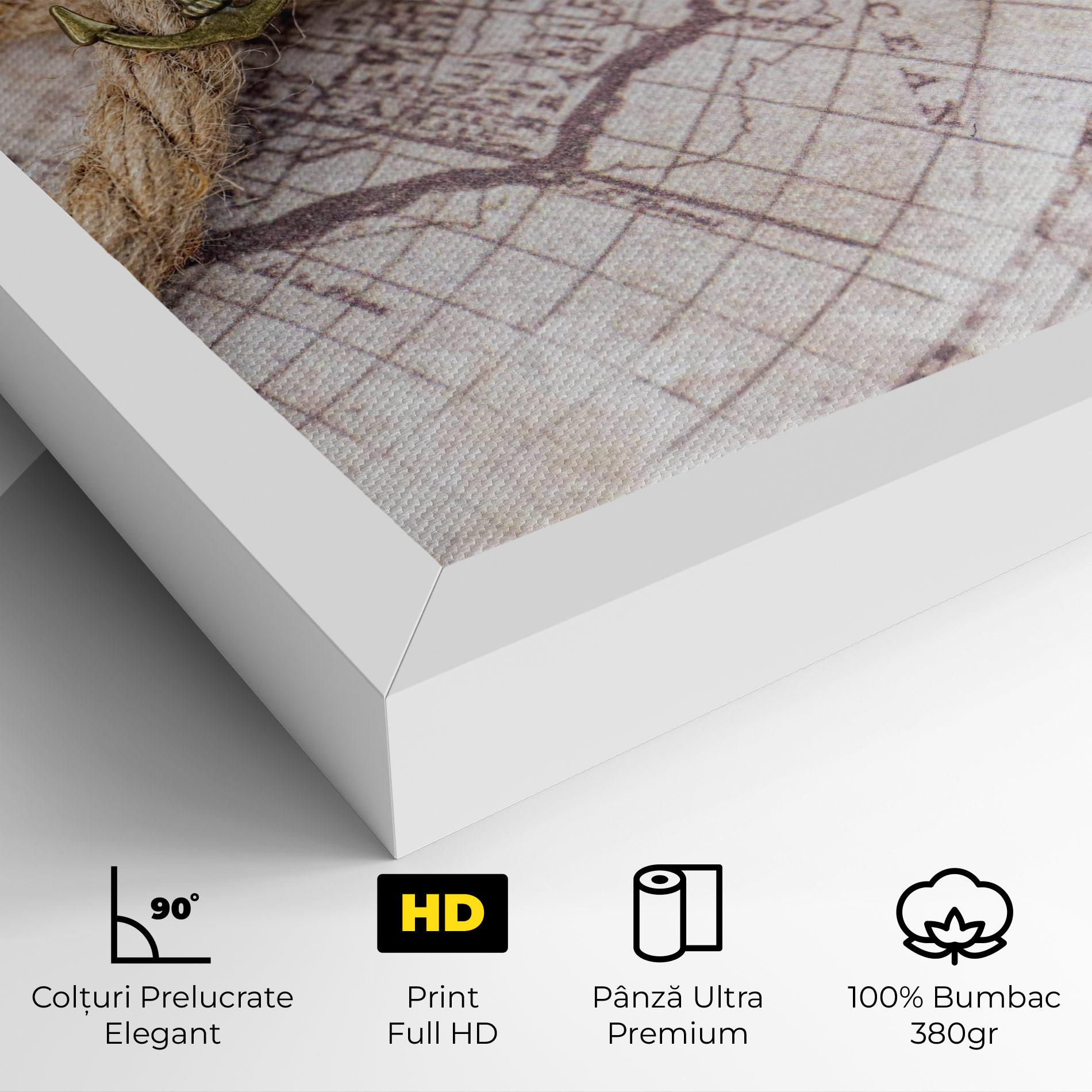 Tablou Canvas Anchor Map mockup 4