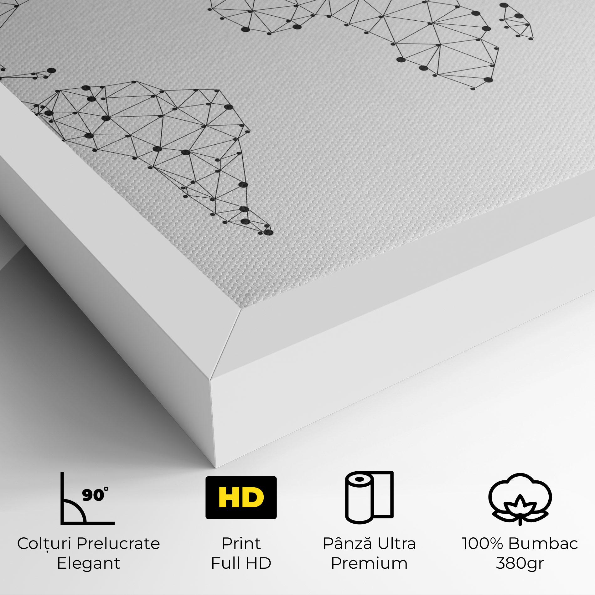 Tablou Canvas Black Map Line mockup 4