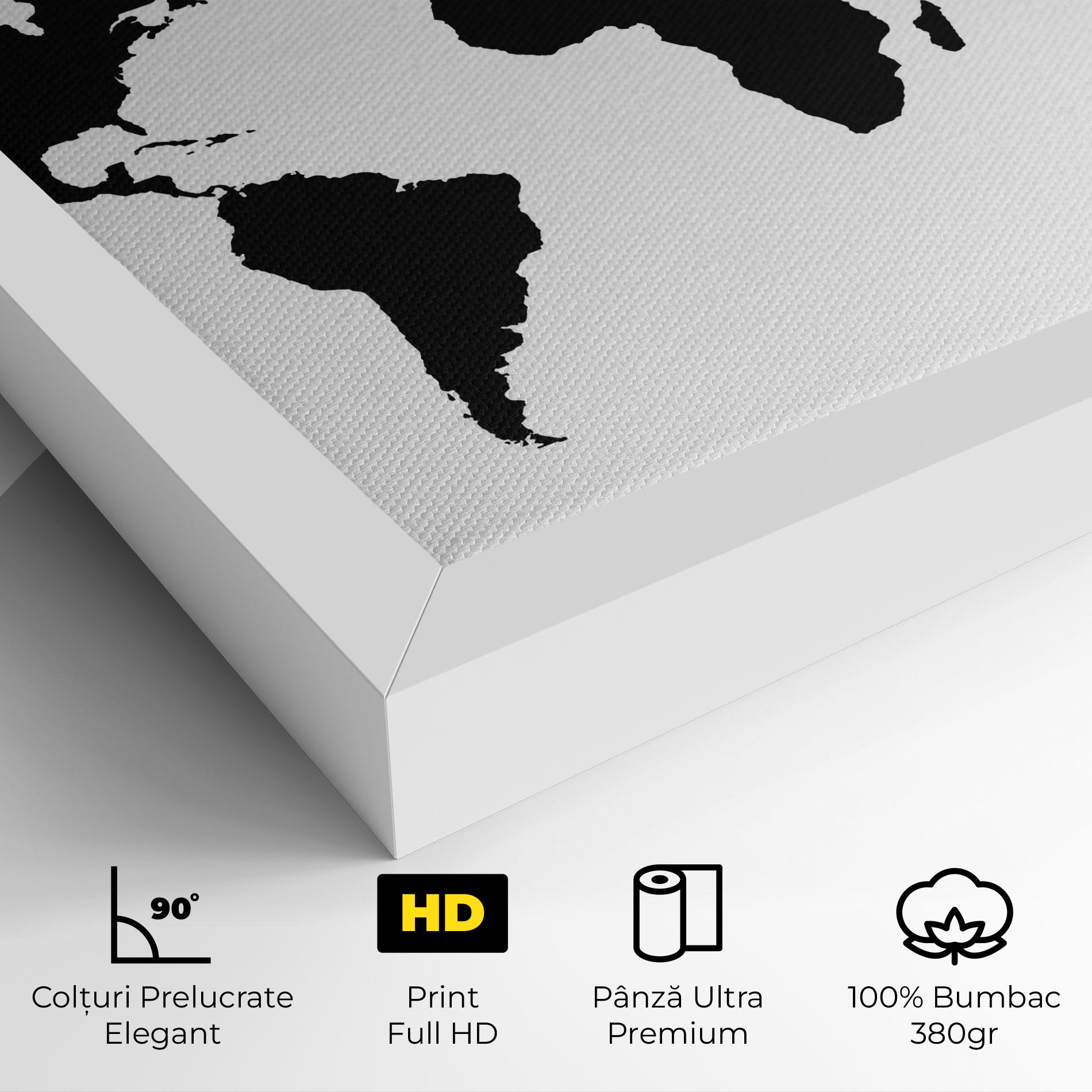 Tablou Canvas Global Black Map mockup 4