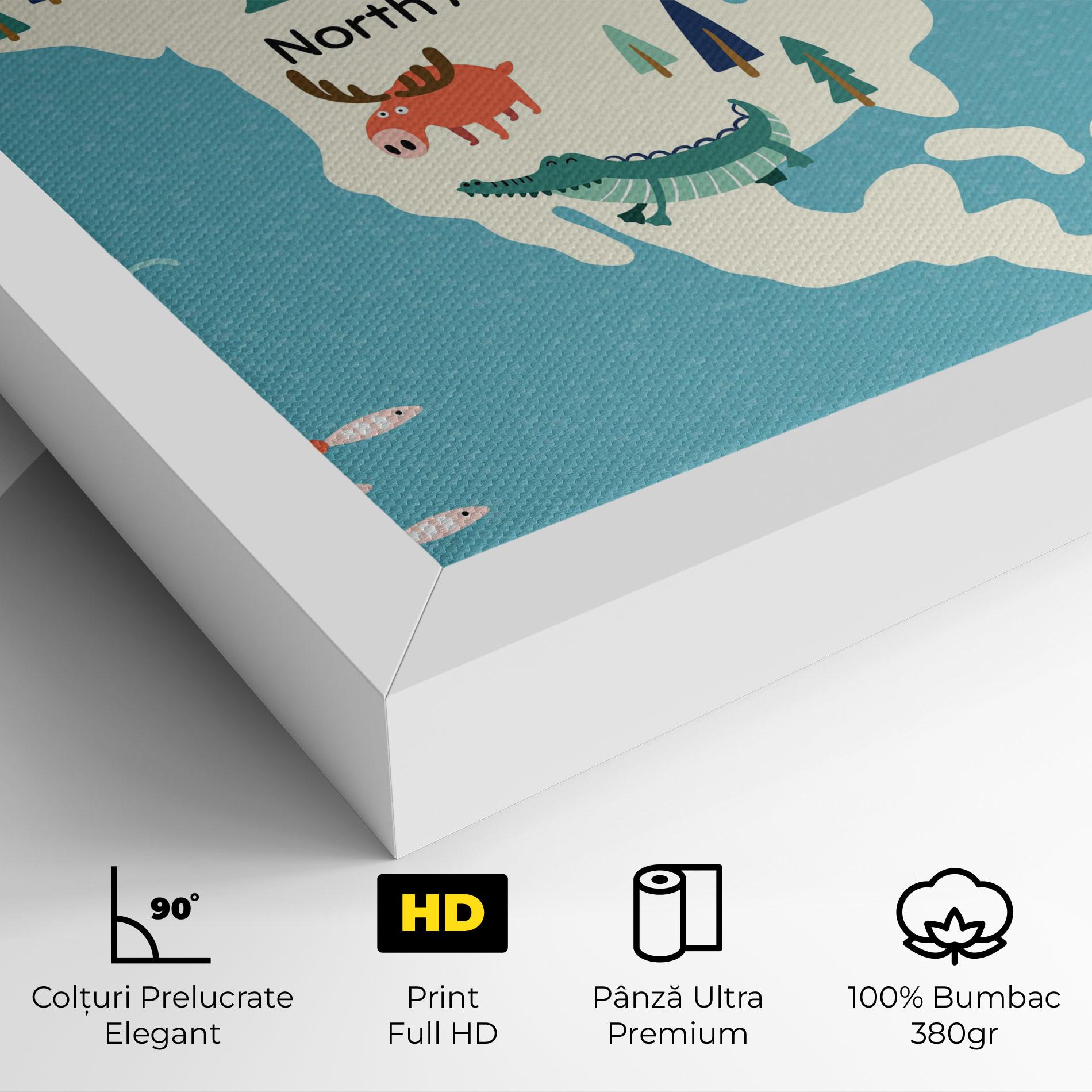 Tablou Canvas North America mockup 4