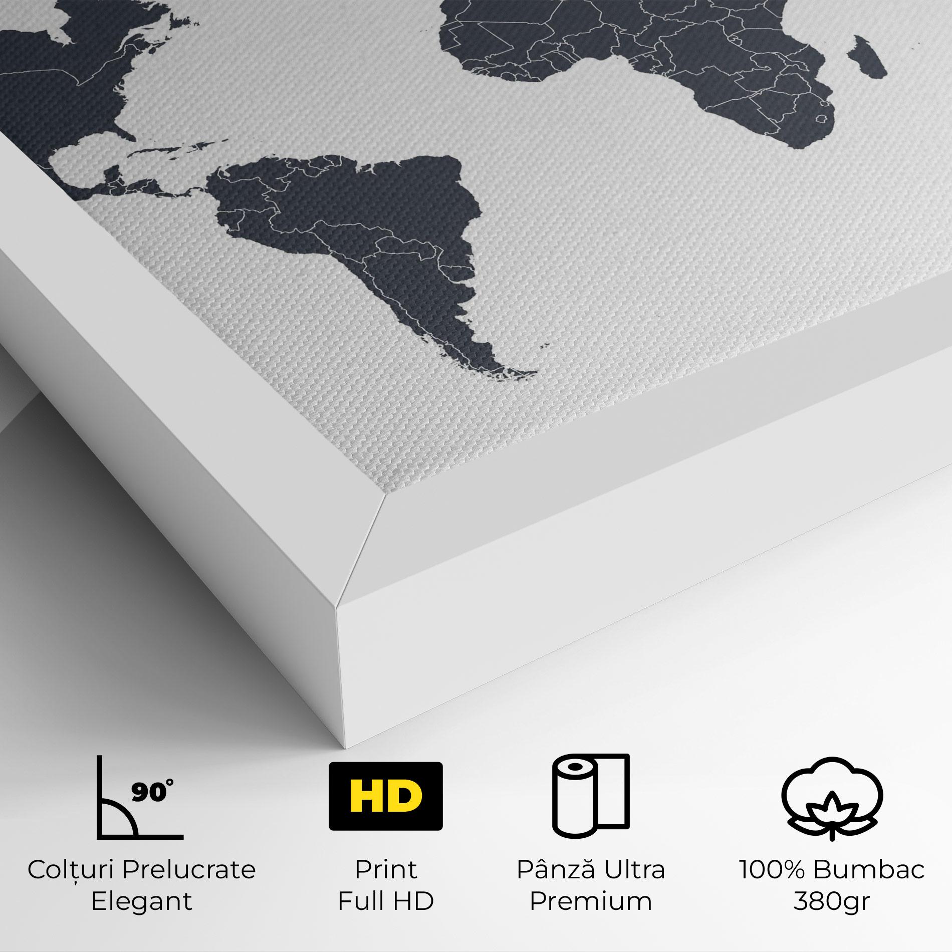Tablou Canvas World Grey Map mockup 4