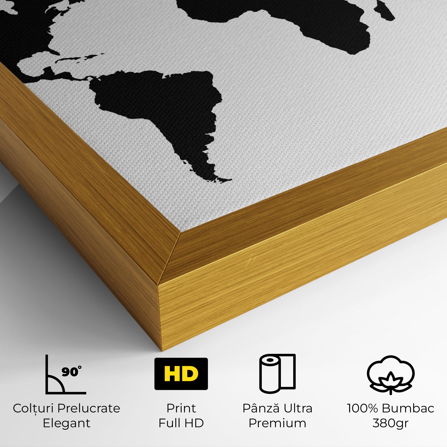 Tablou Canvas Global Black Map mockup 4