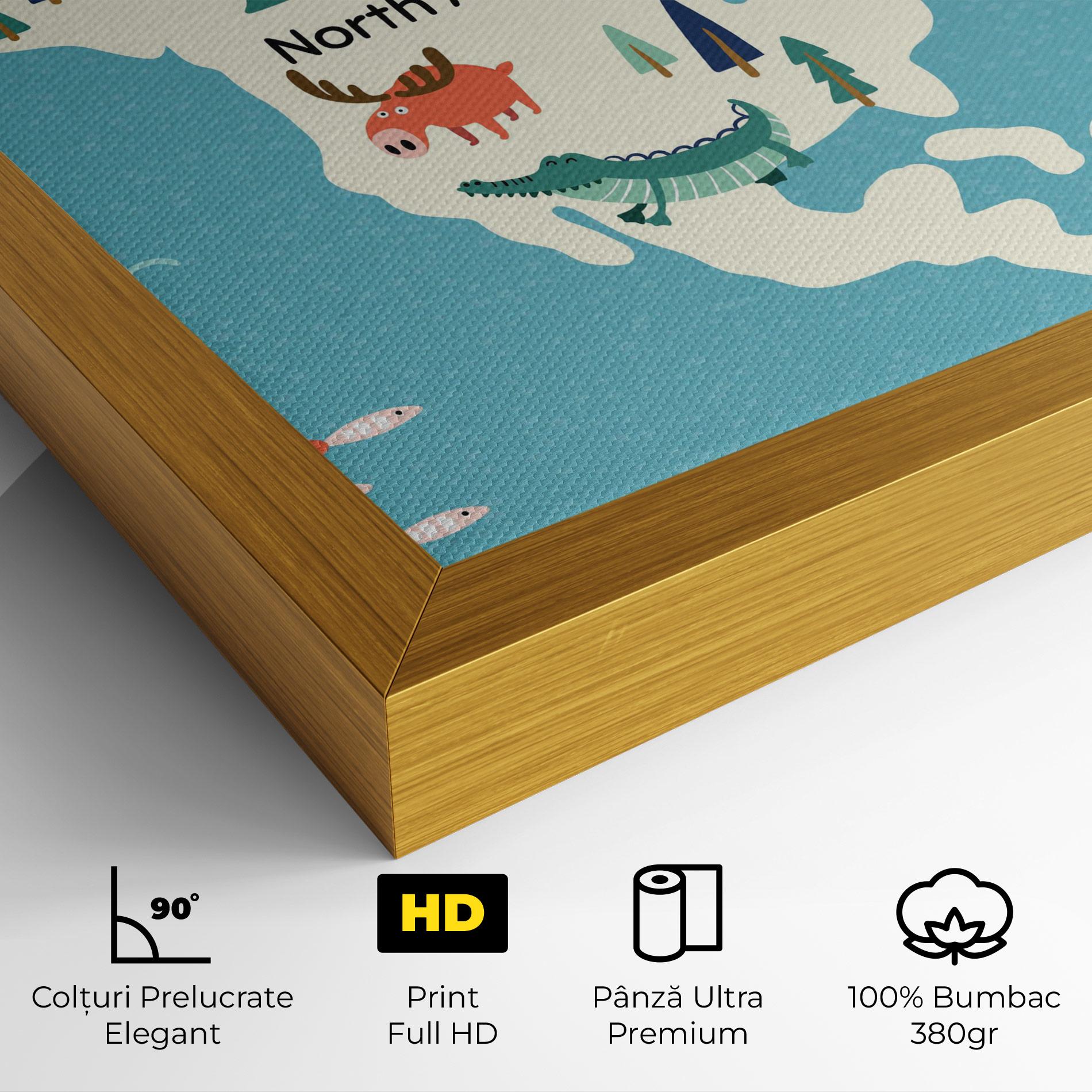 Tablou Canvas North America mockup 4