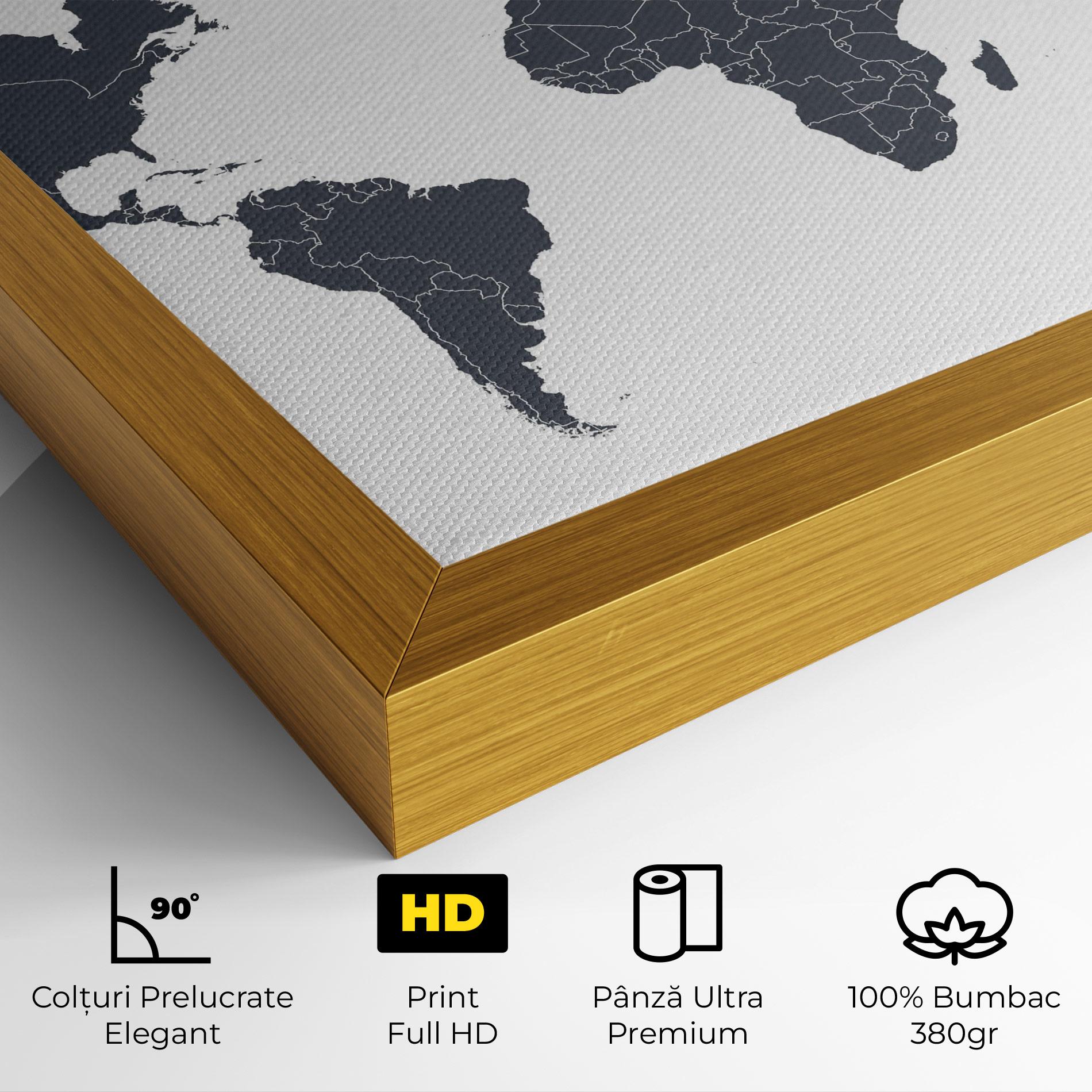 Tablou Canvas World Grey Map mockup 4