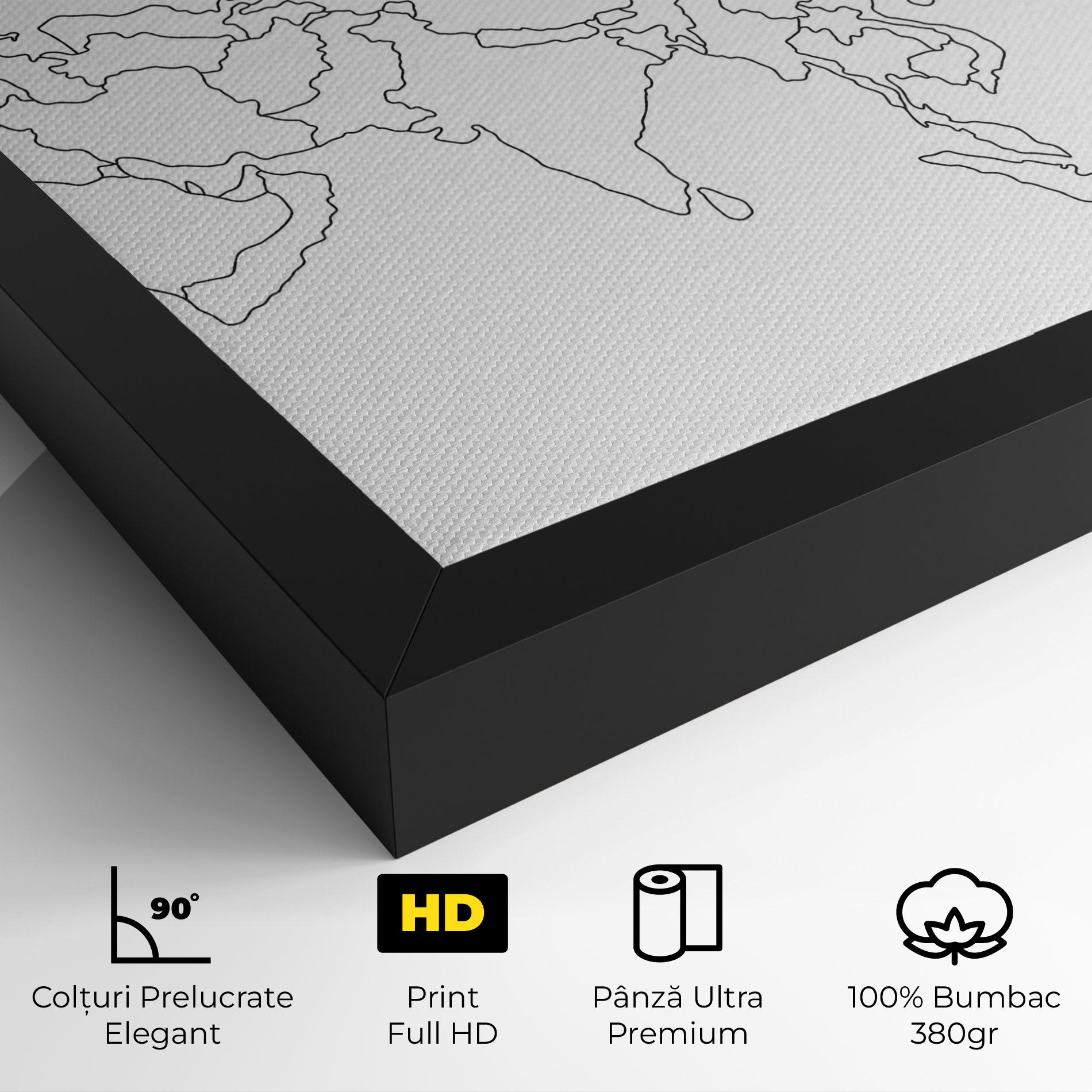 Tablou Canvas Asia Map Line mockup 4