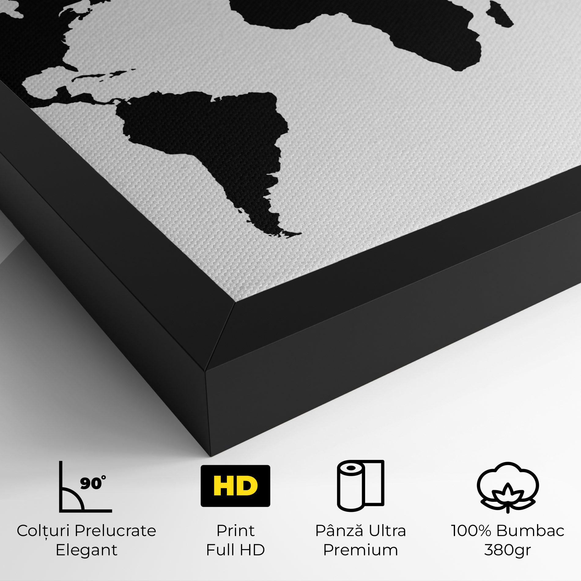 Tablou Canvas Global Black Map mockup 4