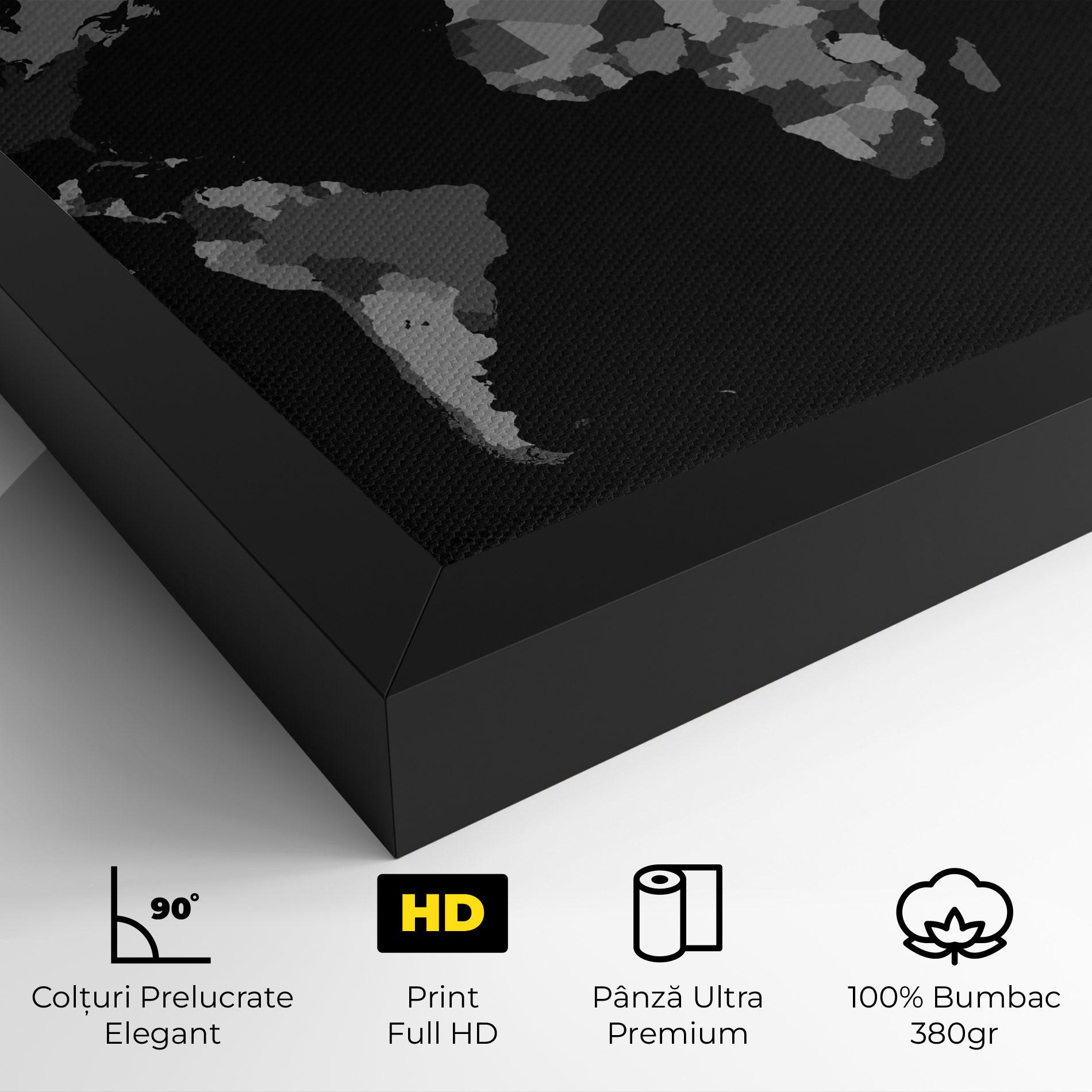 Tablou Canvas Grey Map World mockup 4