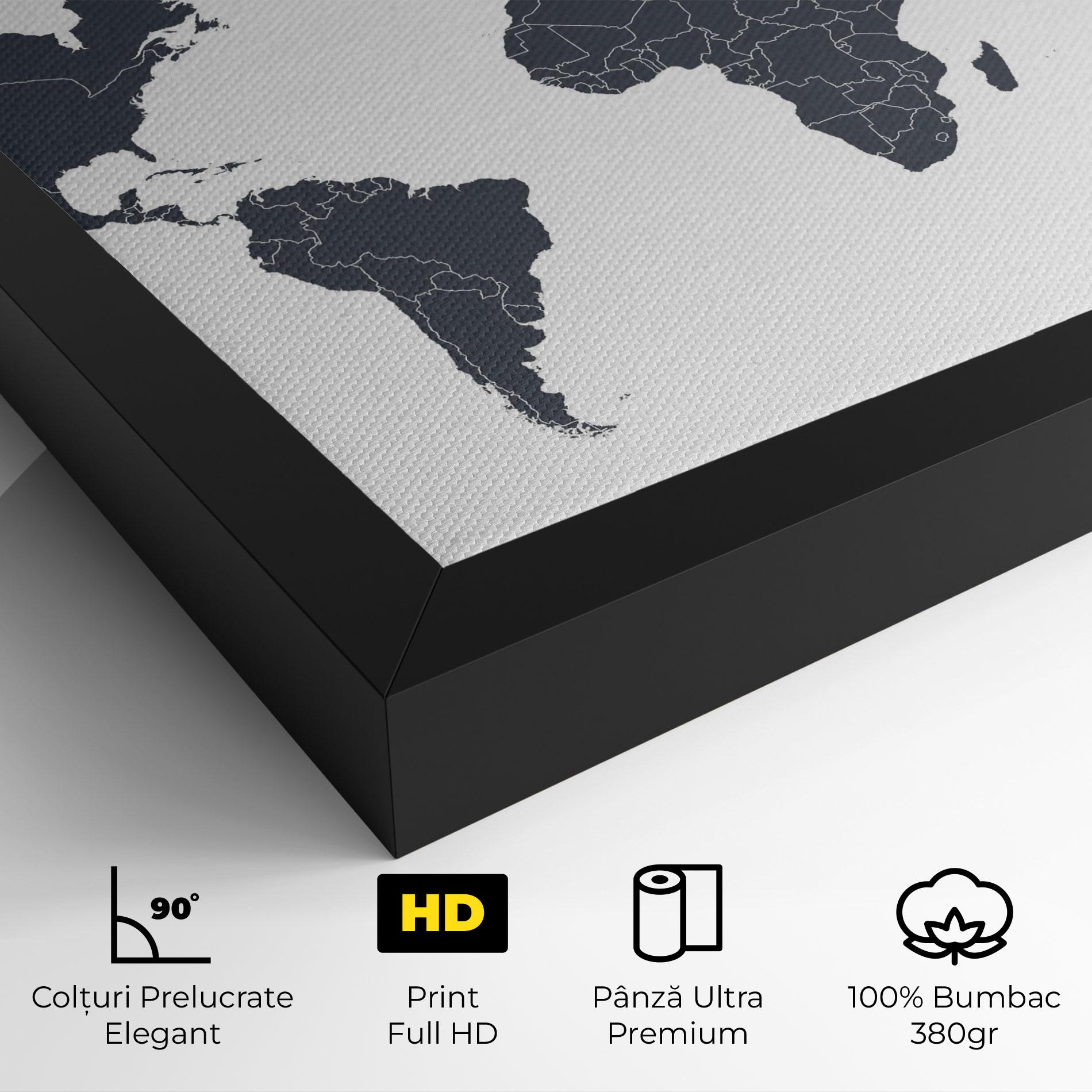 Tablou Canvas World Grey Map mockup 4