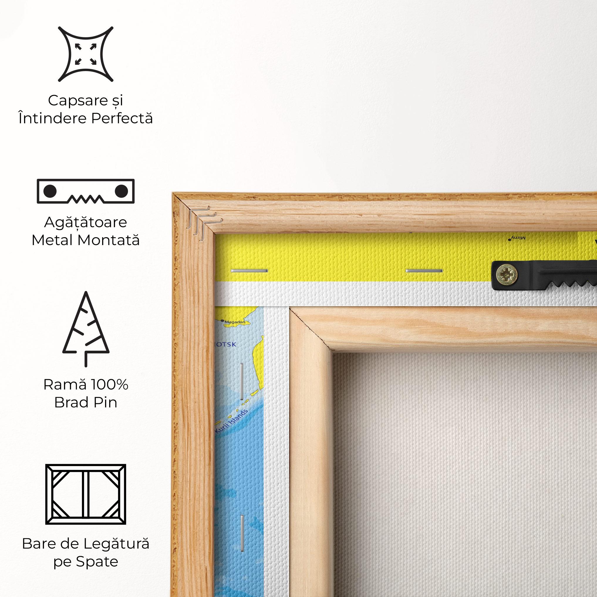 Tablou Canvas Asia Color Map mockup 5