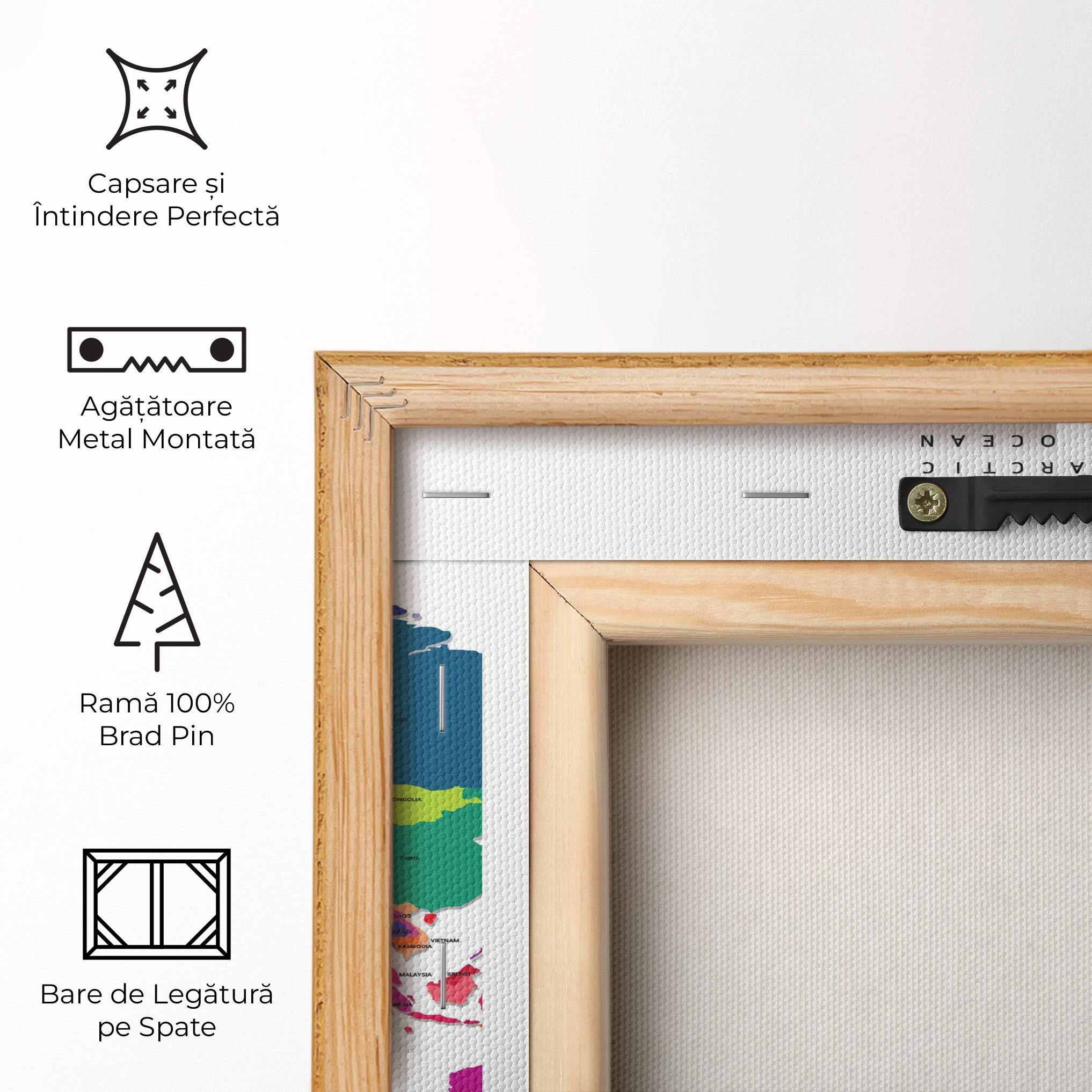 Tablou Canvas Colored Continents Map mockup 5