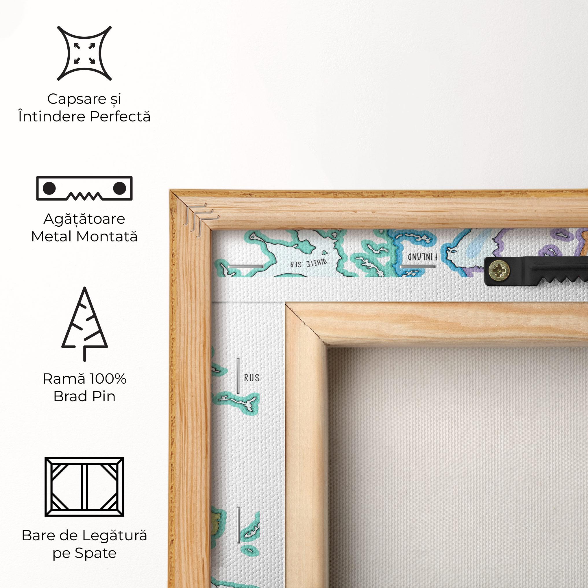 Tablou Canvas Europe Map mockup 5