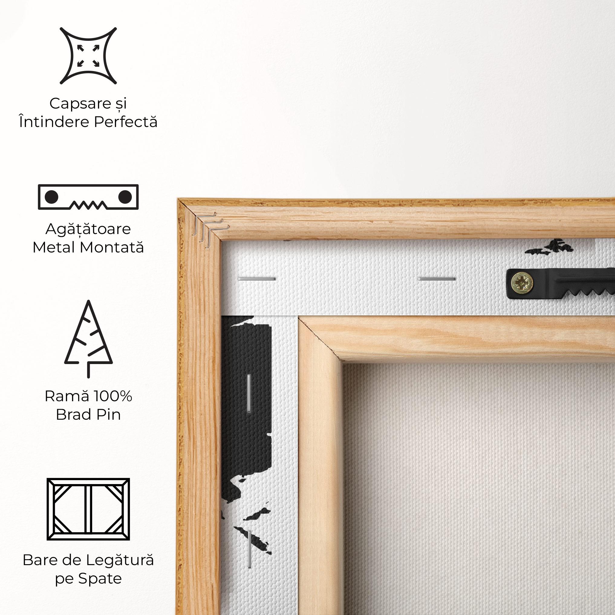 Tablou Canvas Global Black Map mockup 5