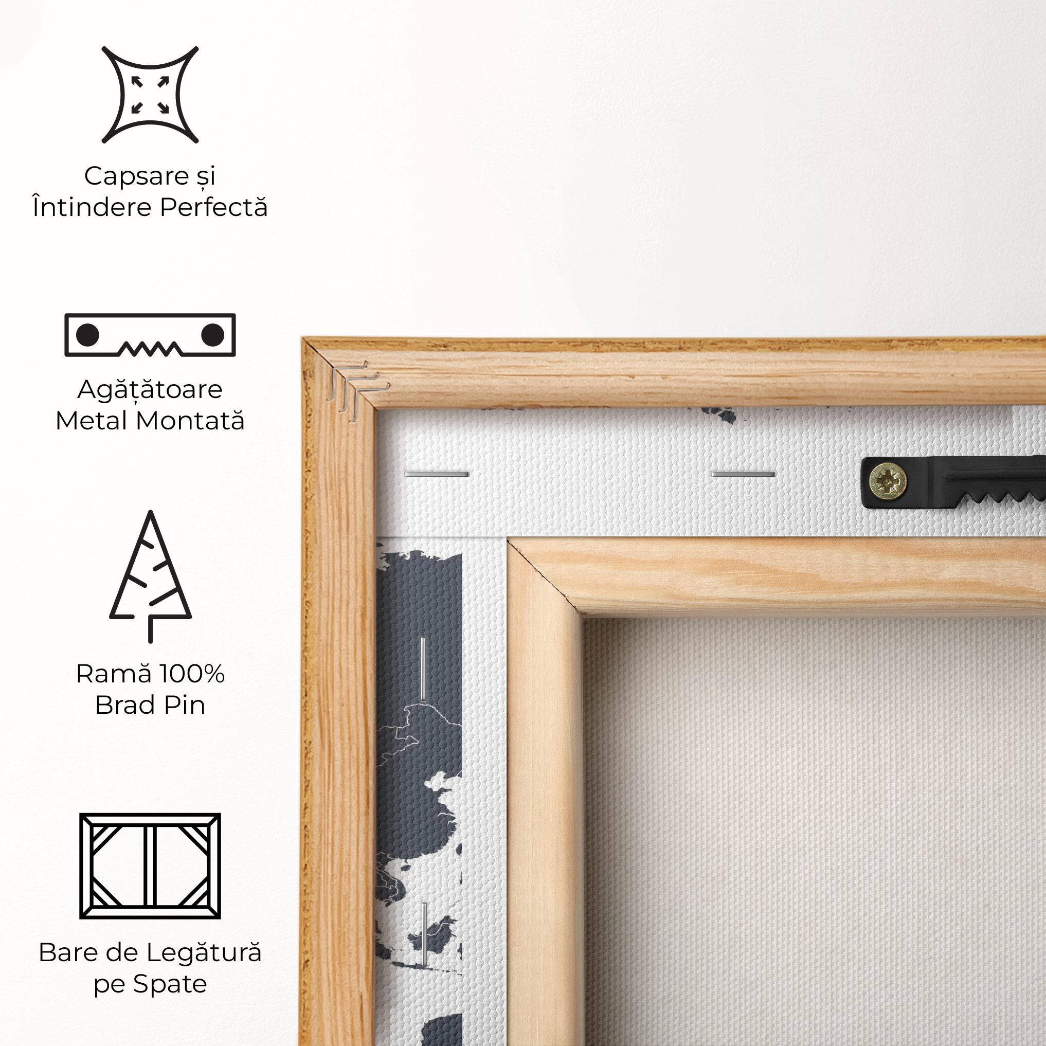 Tablou Canvas World Grey Map mockup 5