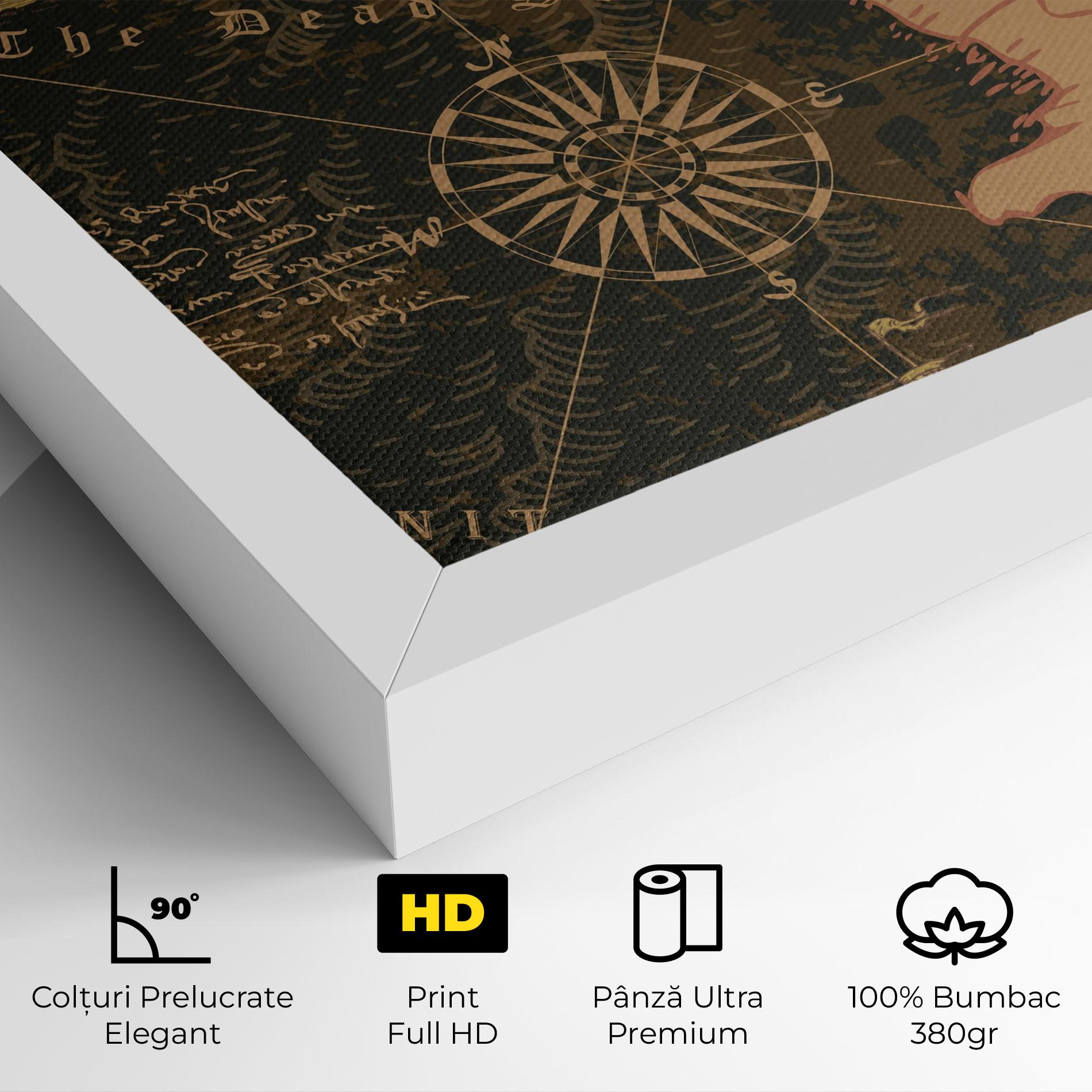 Tablou Canvas Cool Old Map mockup 4