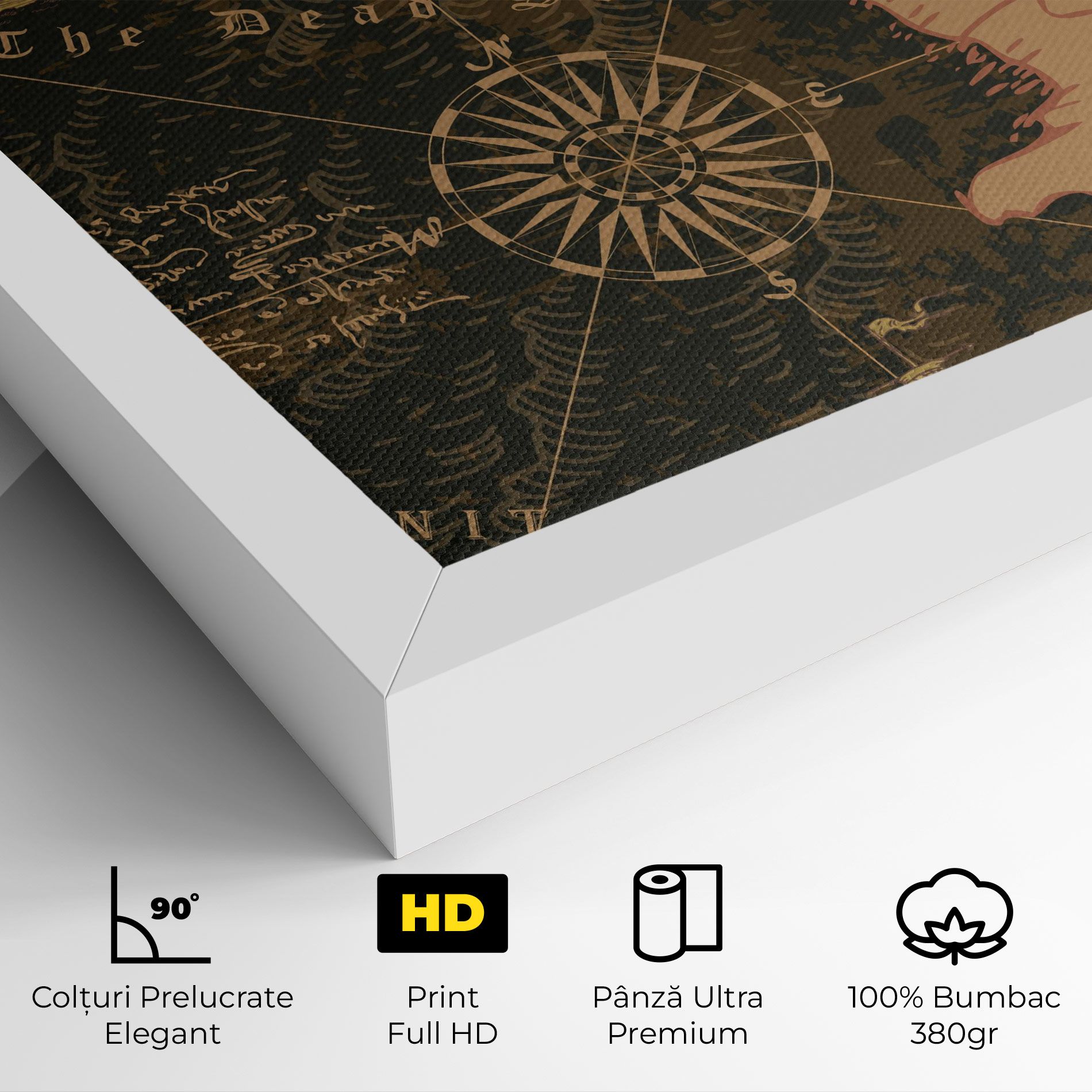 Cool Old Map mockup 4