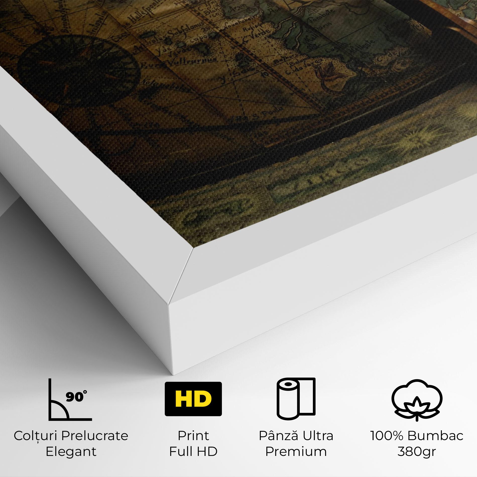 Tablou Canvas Globe Map mockup 4