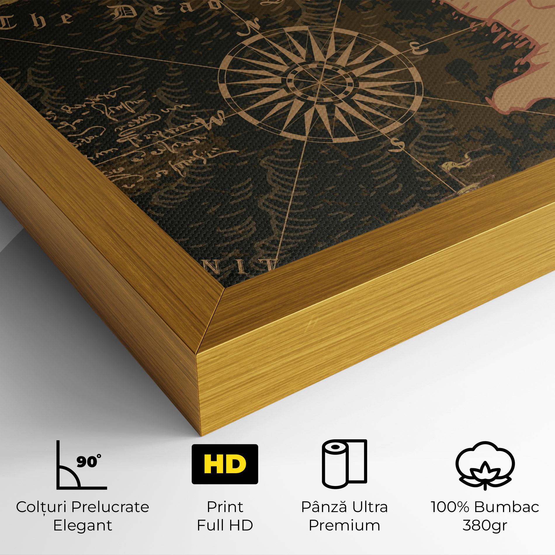 Tablou Canvas Cool Old Map mockup 4