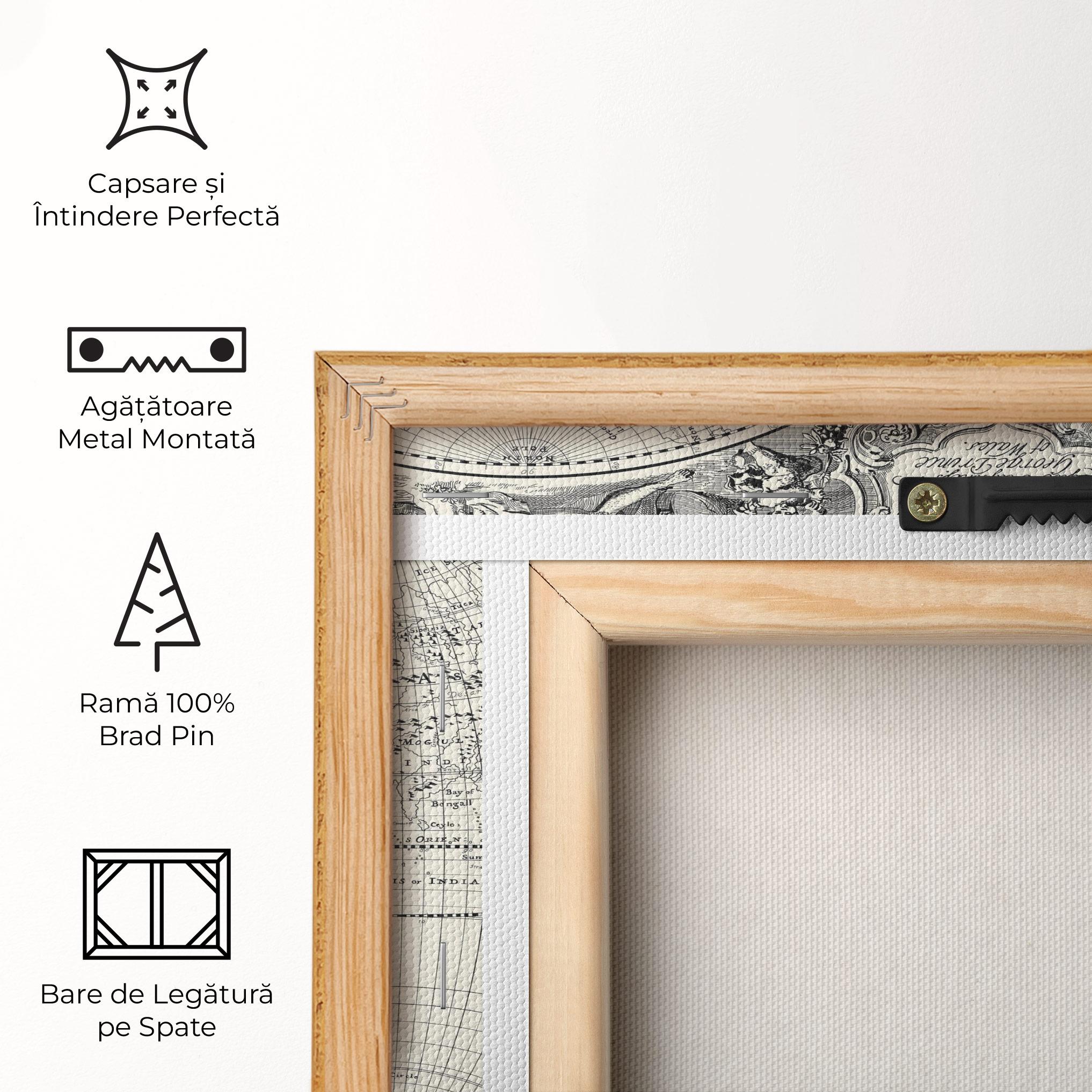 Tablou Canvas Black White Map mockup 5