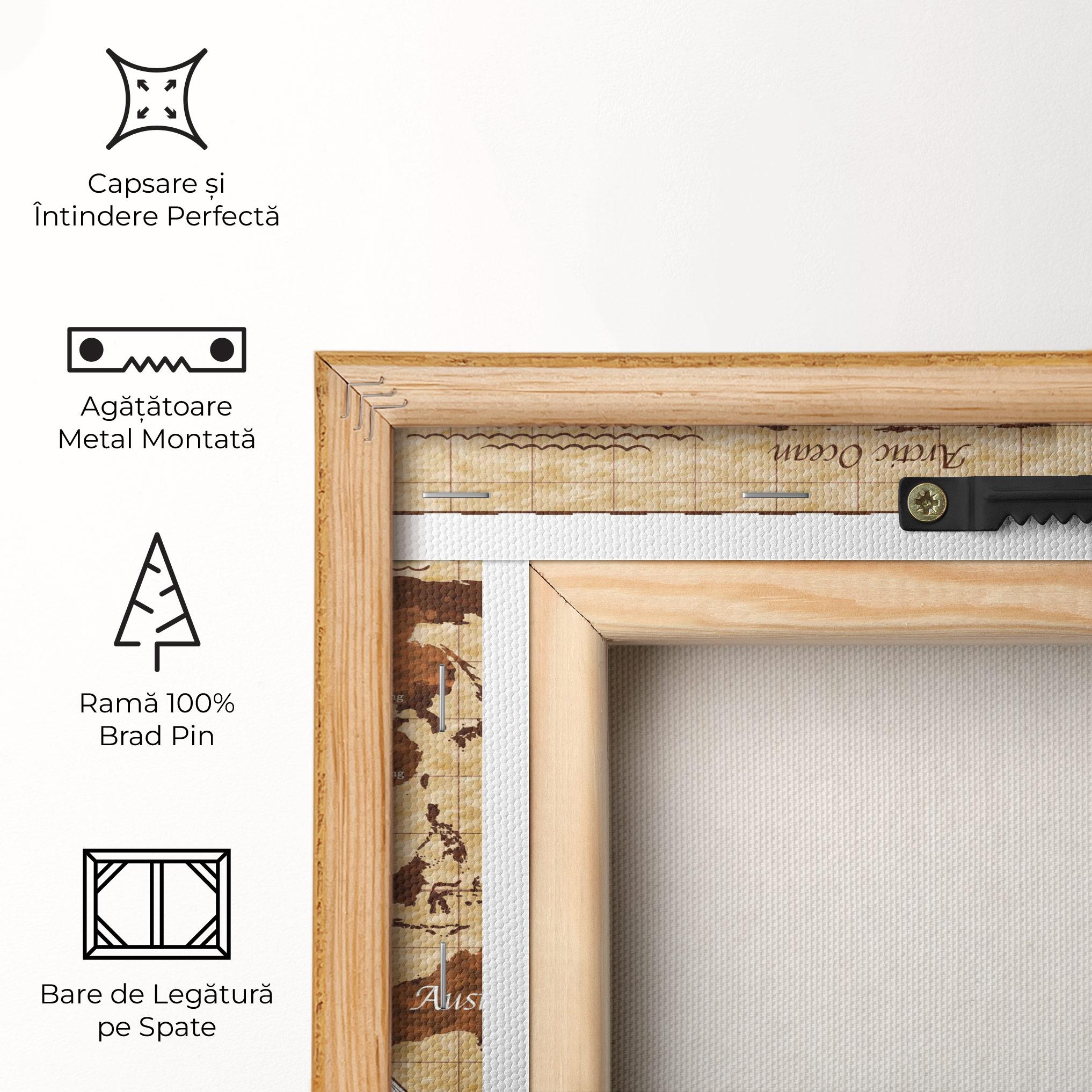 Tablou Canvas Brown Old Map mockup 5