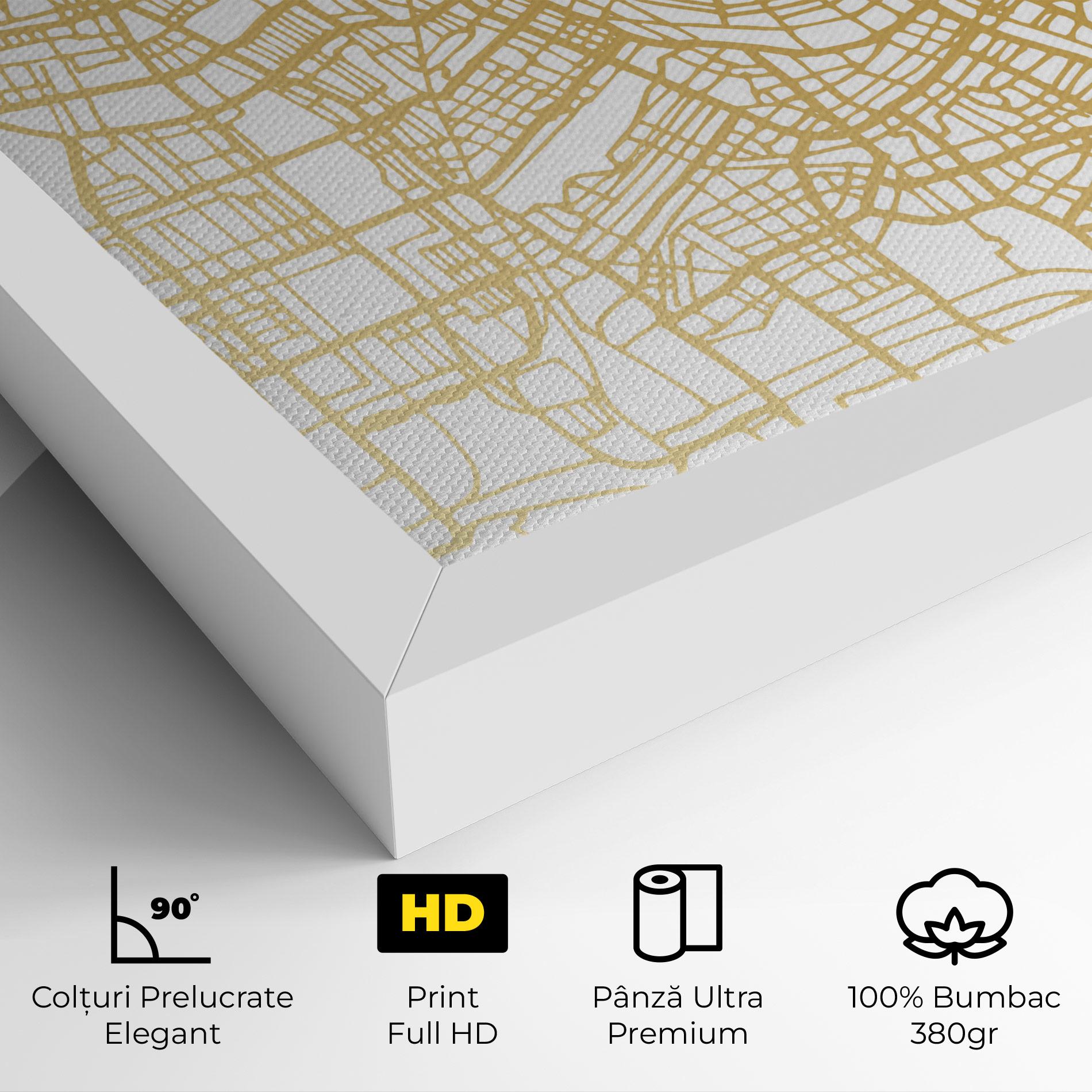 Tablou Canvas Amsterdam Gold Map mockup 4