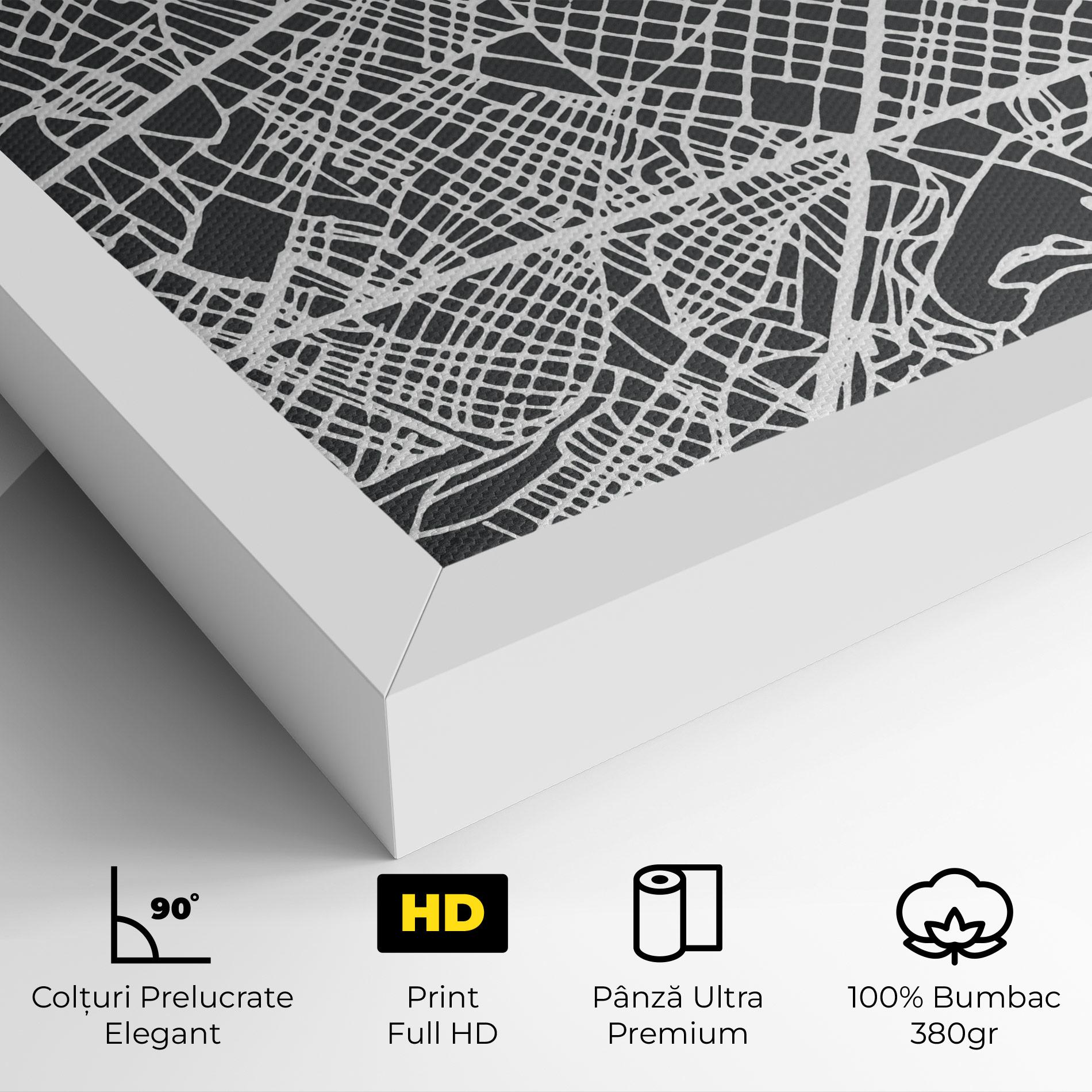 Tablou Canvas Barcelona Map mockup 4