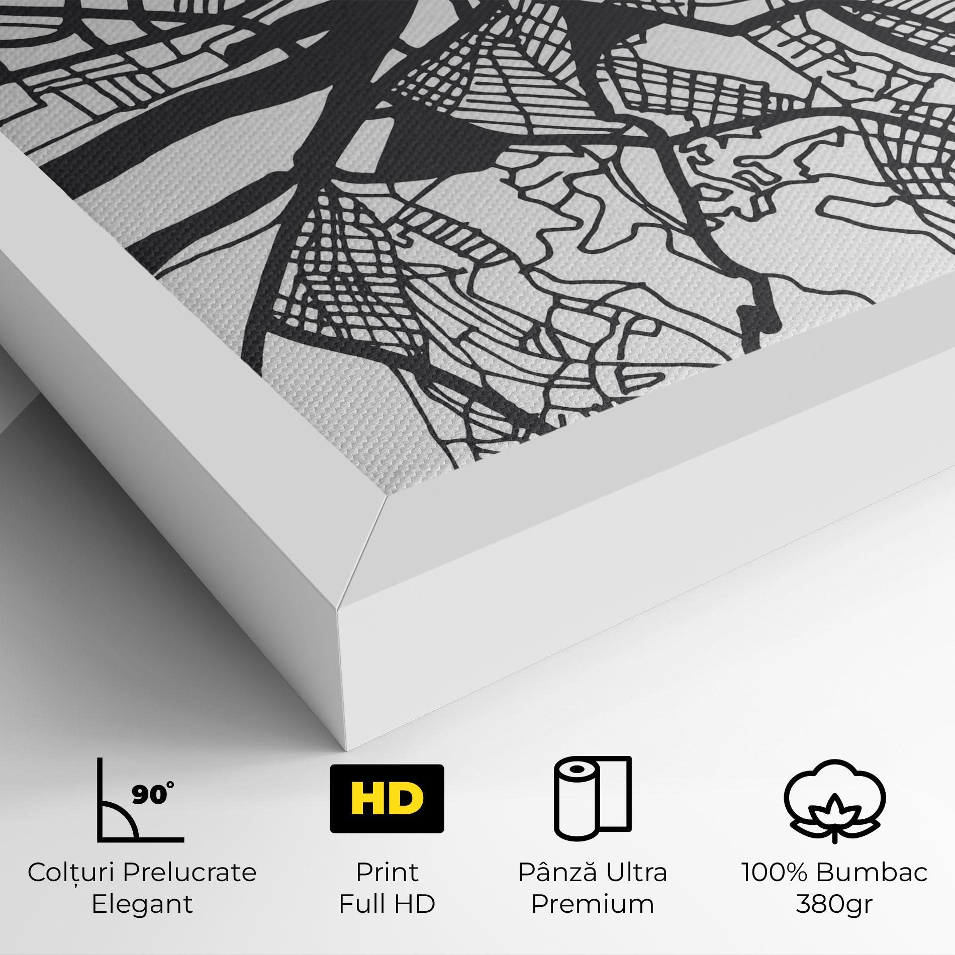 Tablou Canvas Belgrade Map mockup 4