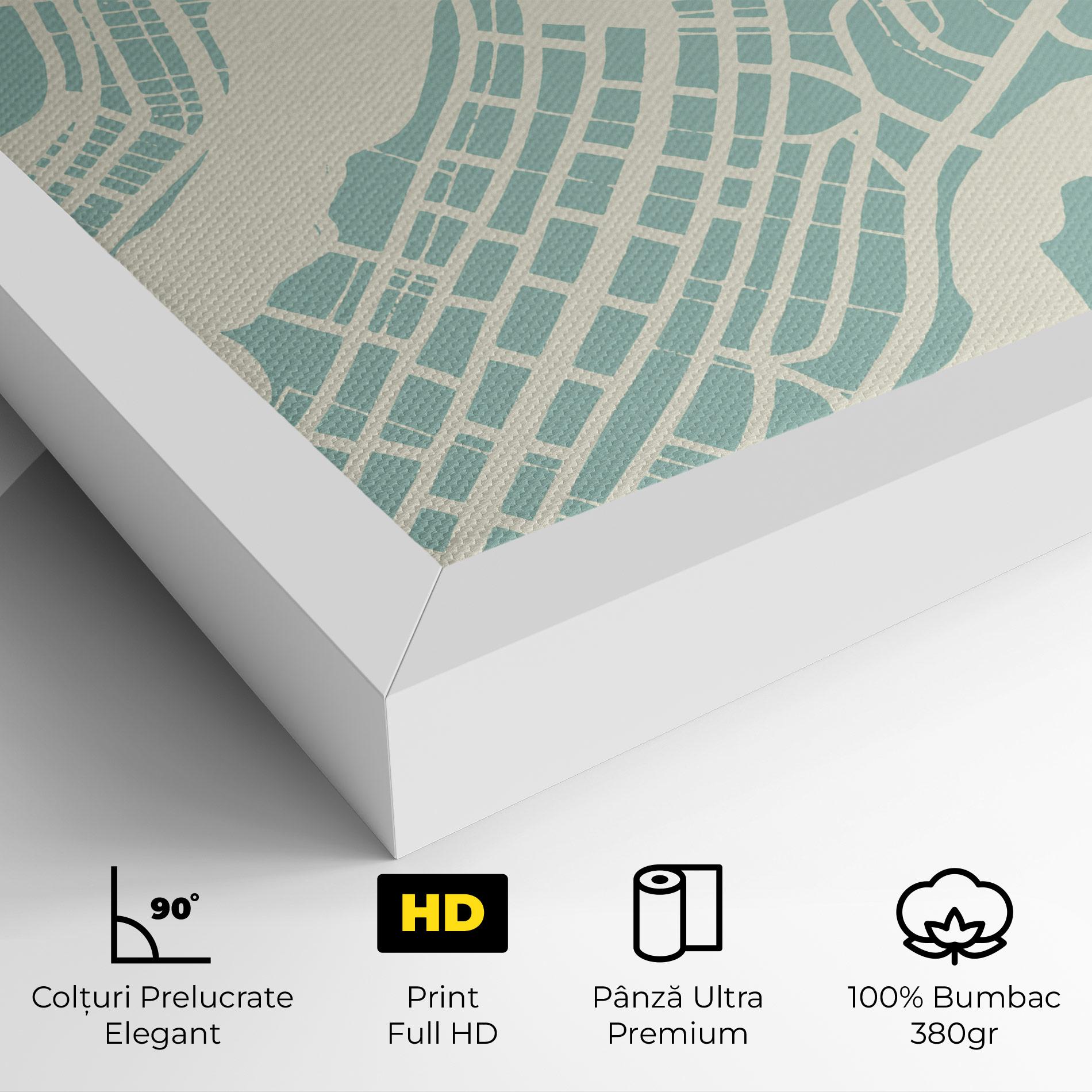 Tablou Canvas Brasilia Map mockup 4