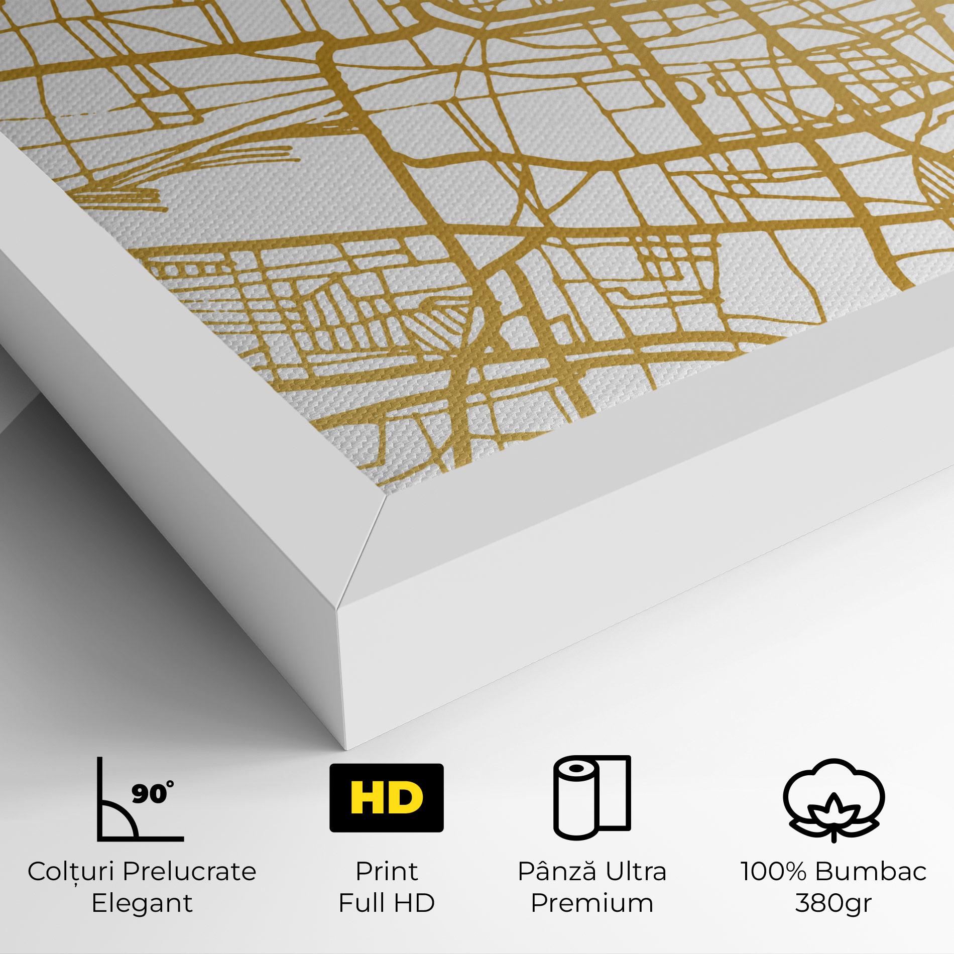 Tablou Canvas Brescia Gold Map mockup 4