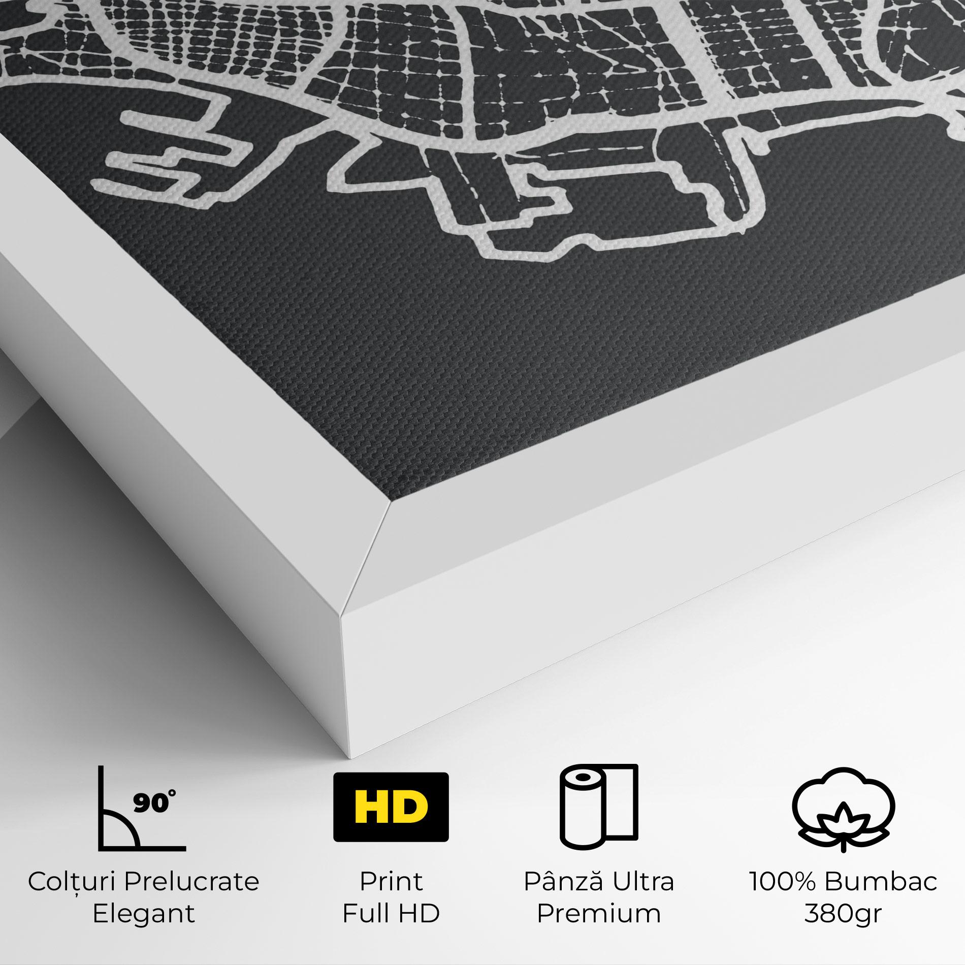 Tablou Canvas Genoa Map mockup 4