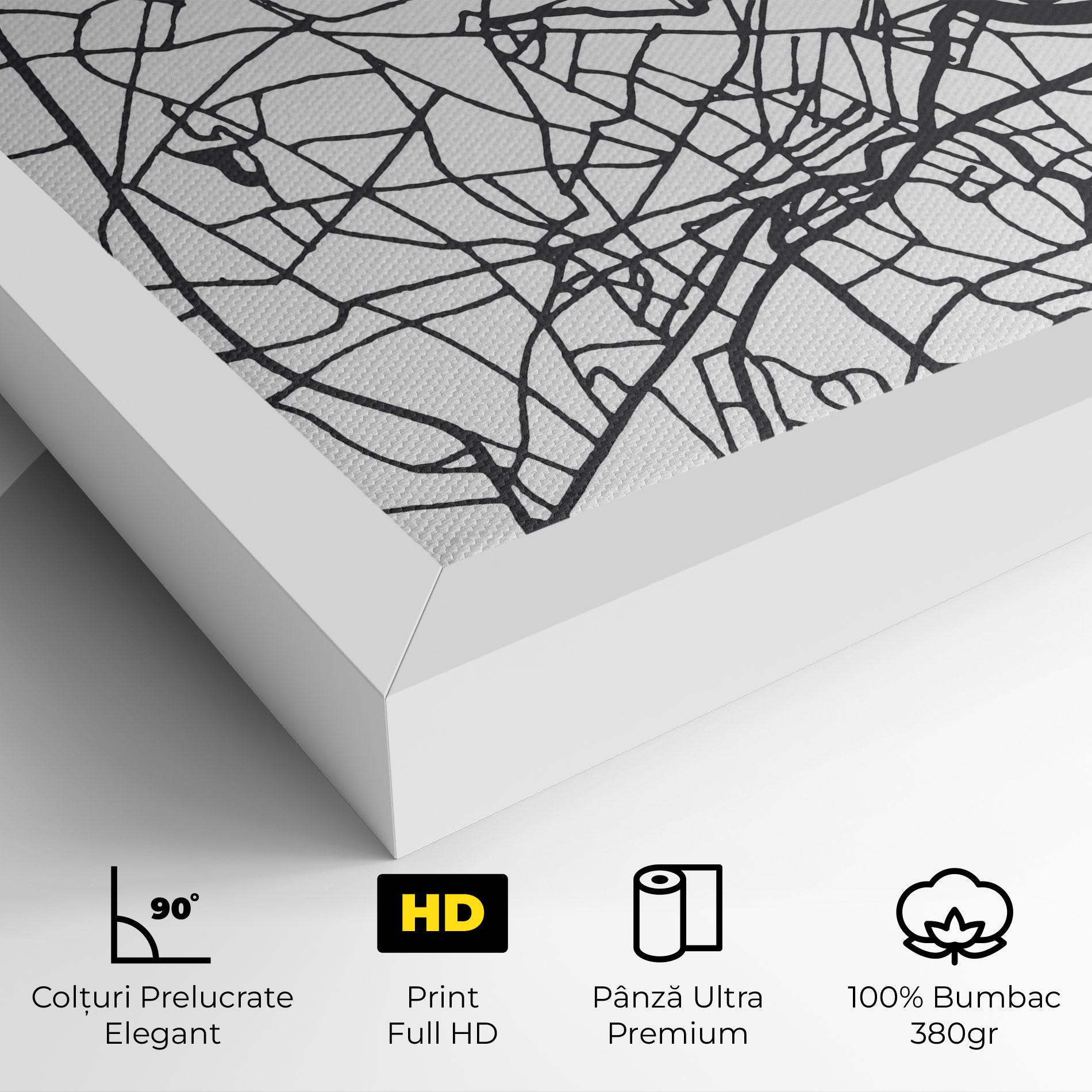 Tablou Canvas Ho Chi Minh Map mockup 4