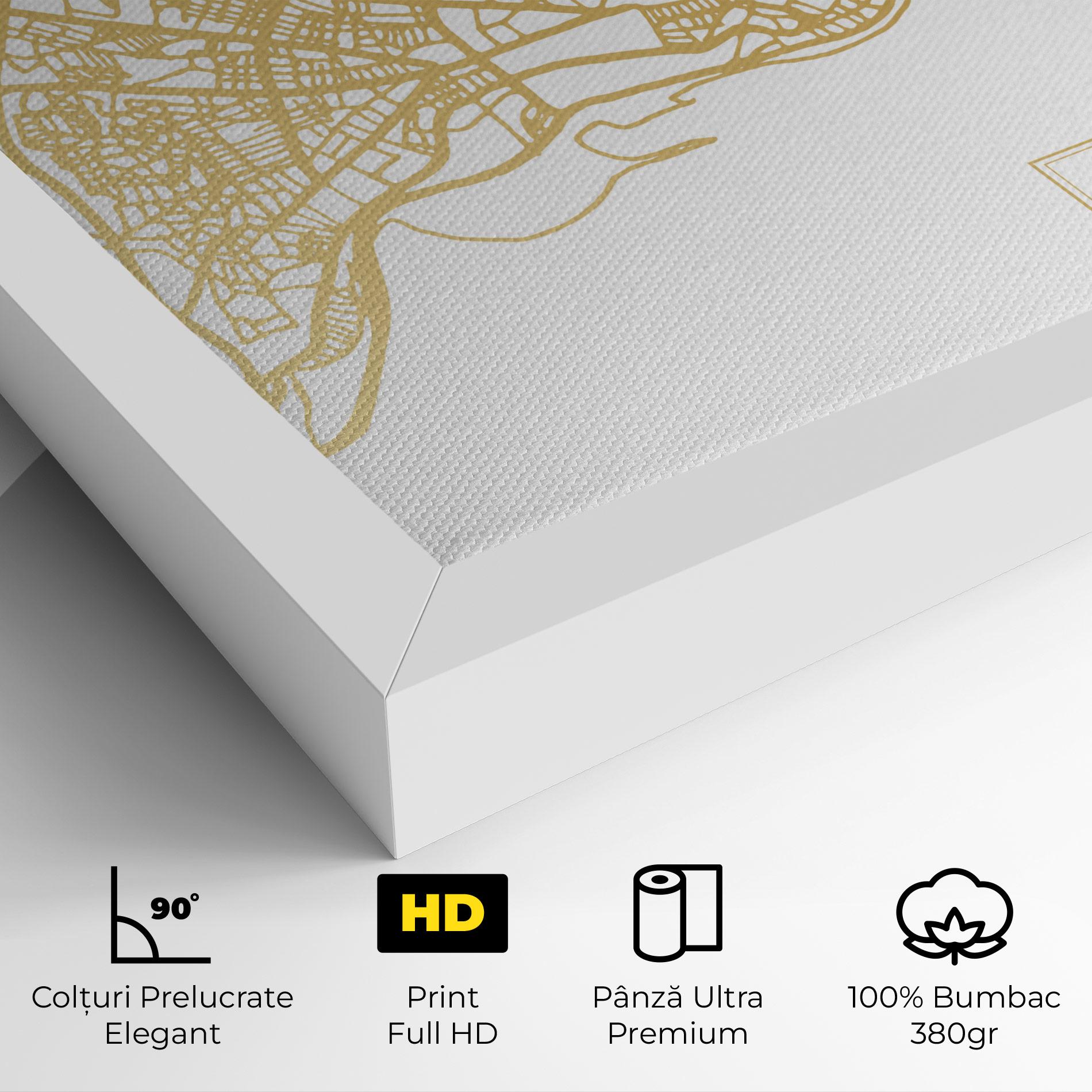 Tablou Canvas Istanbul Gold Map mockup 4