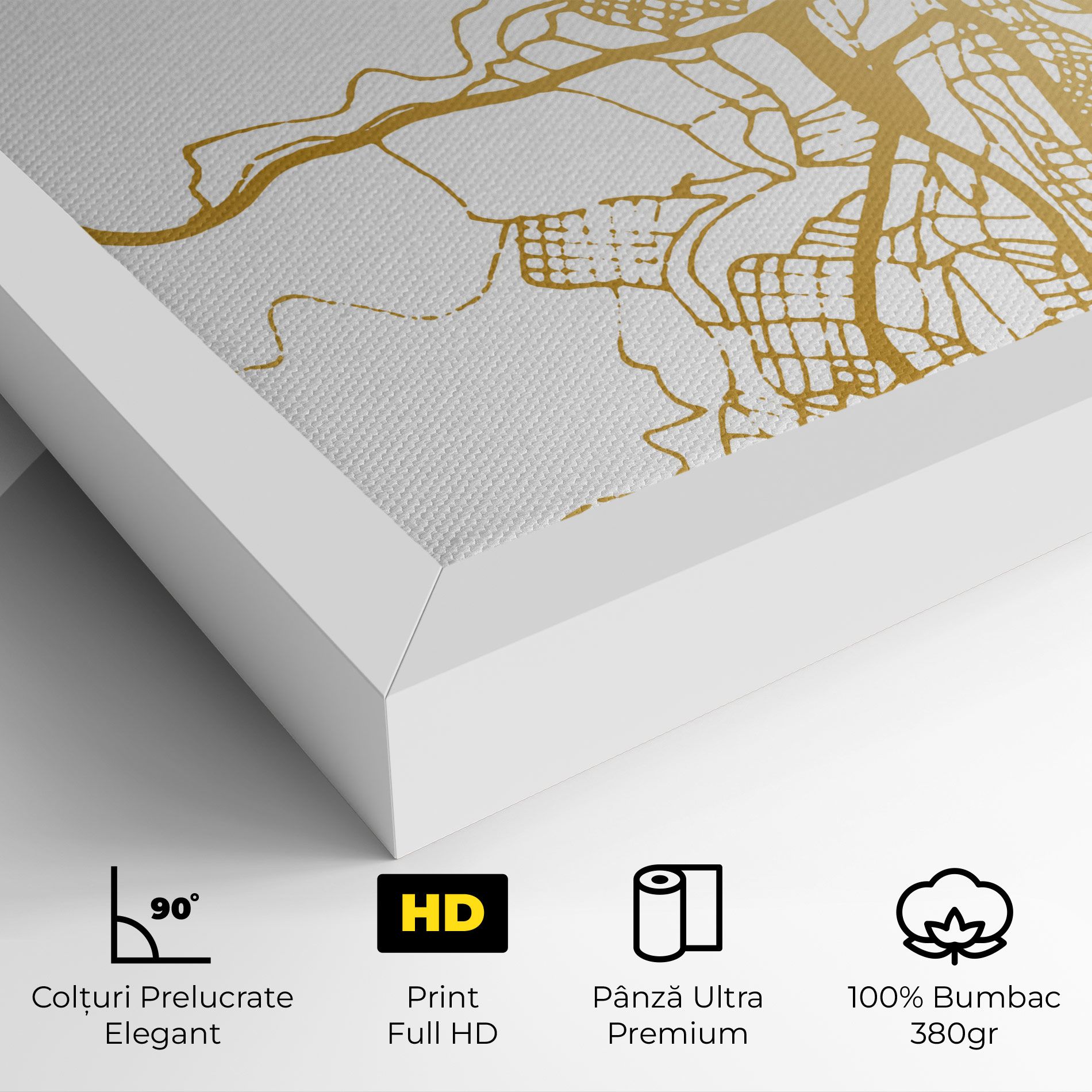 Las Palmas Gold Map mockup 4