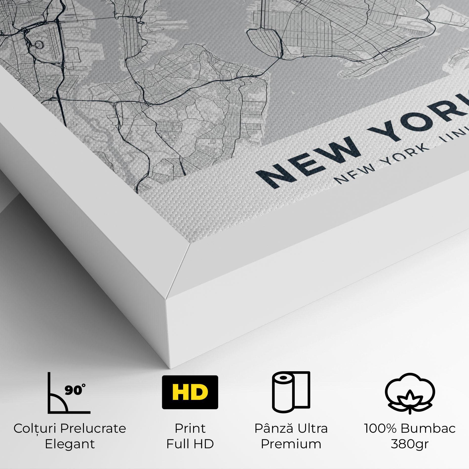Tablou Canvas New York Map mockup 4
