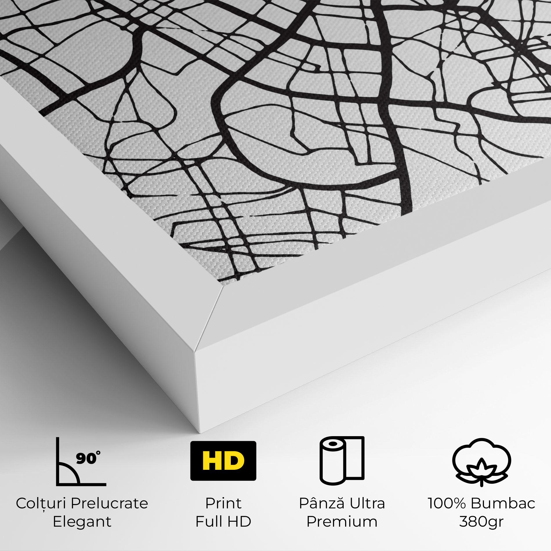 Tablou Canvas Zaragoza City Map mockup 4