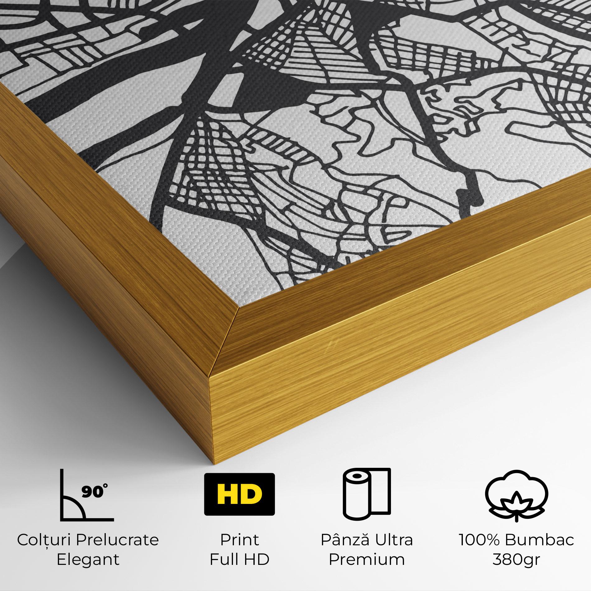 Tablou Canvas Belgrade Map mockup 4