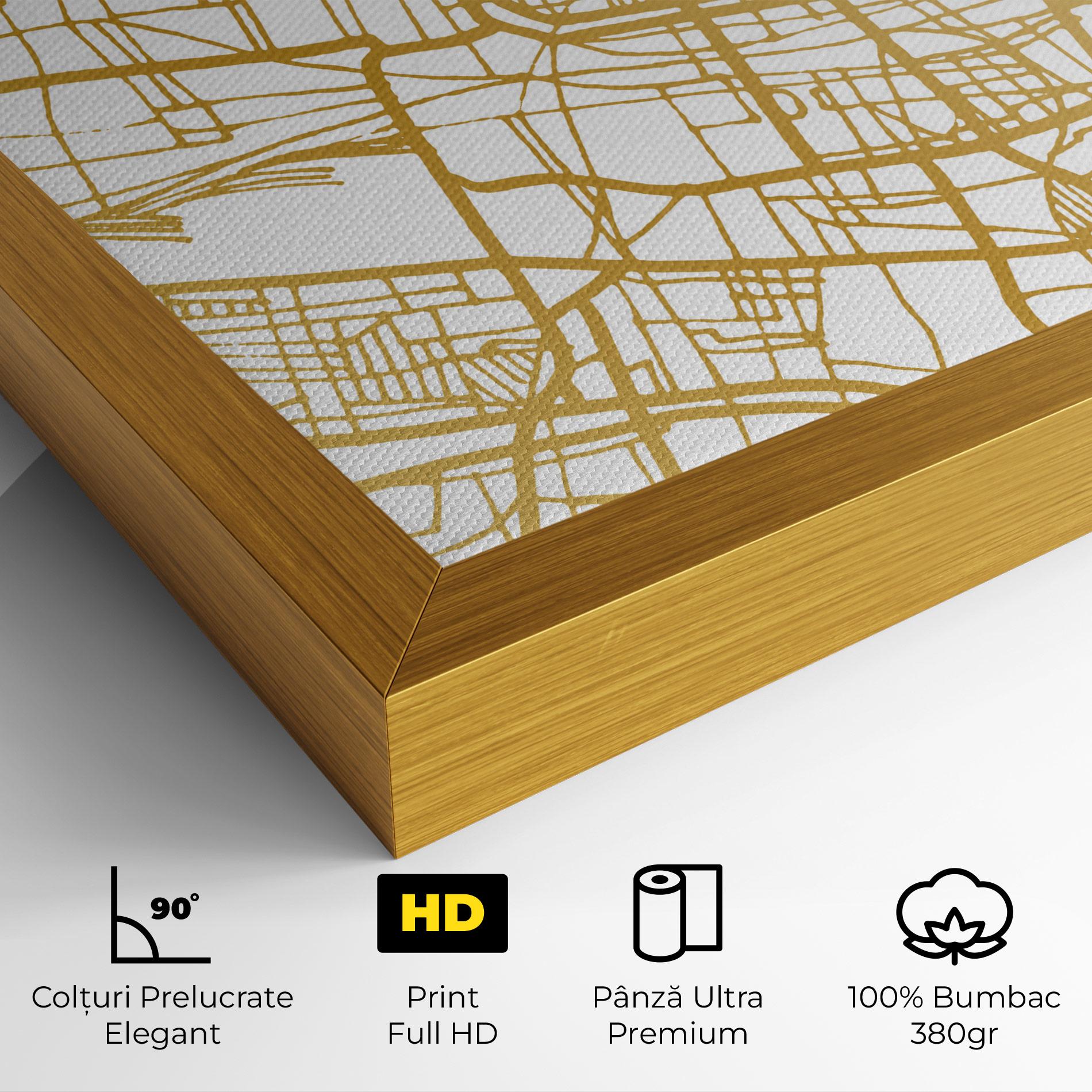 Tablou Canvas Brescia Gold Map mockup 4