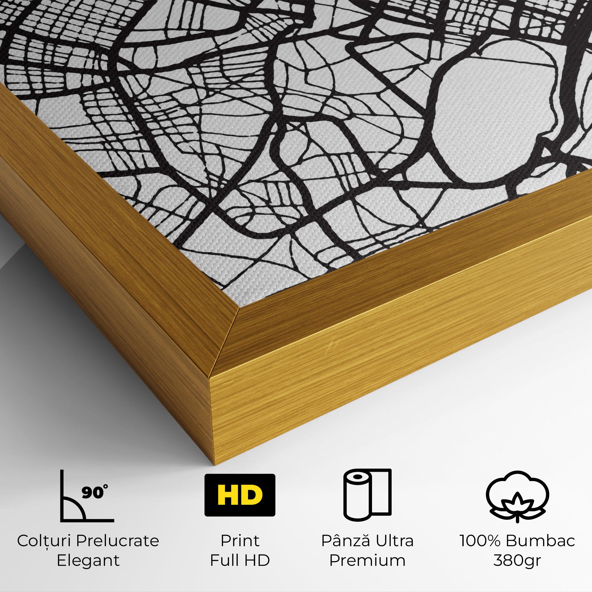 Tablou Canvas Caen Map mockup 4