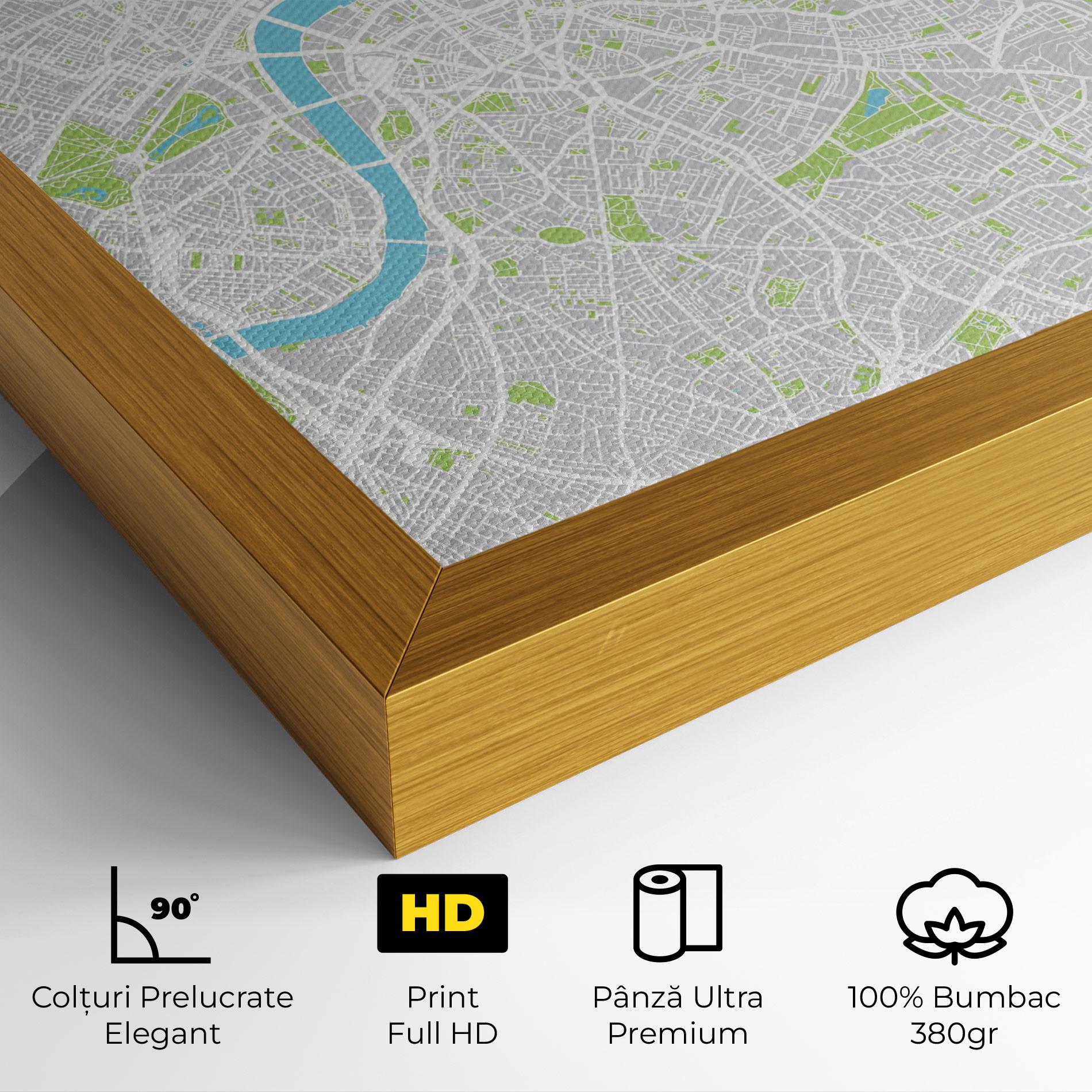 Tablou Canvas City Color Map mockup 4