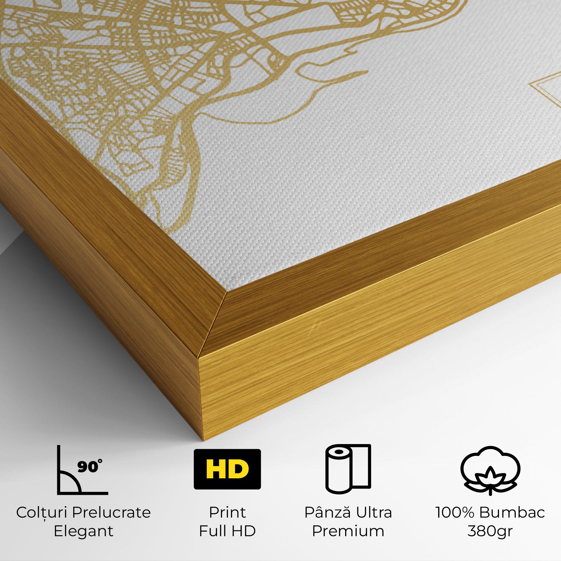 Tablou Canvas Istanbul Gold Map mockup 4