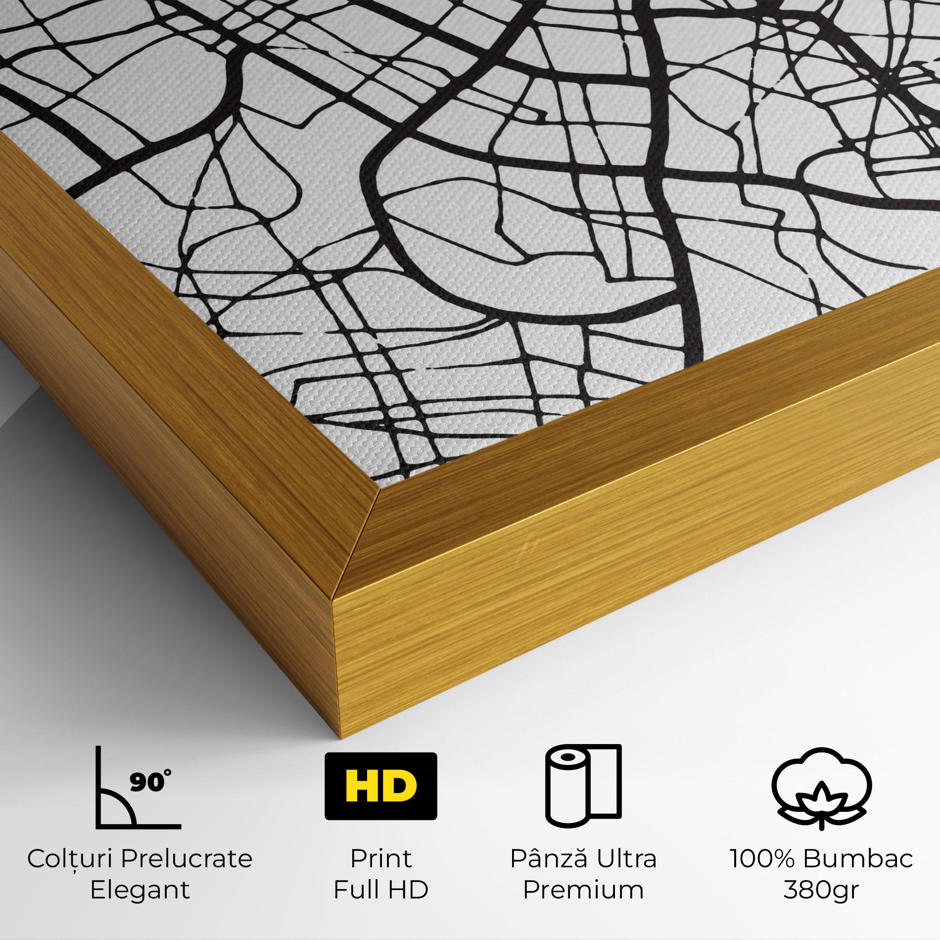 Tablou Canvas Zaragoza City Map mockup 4