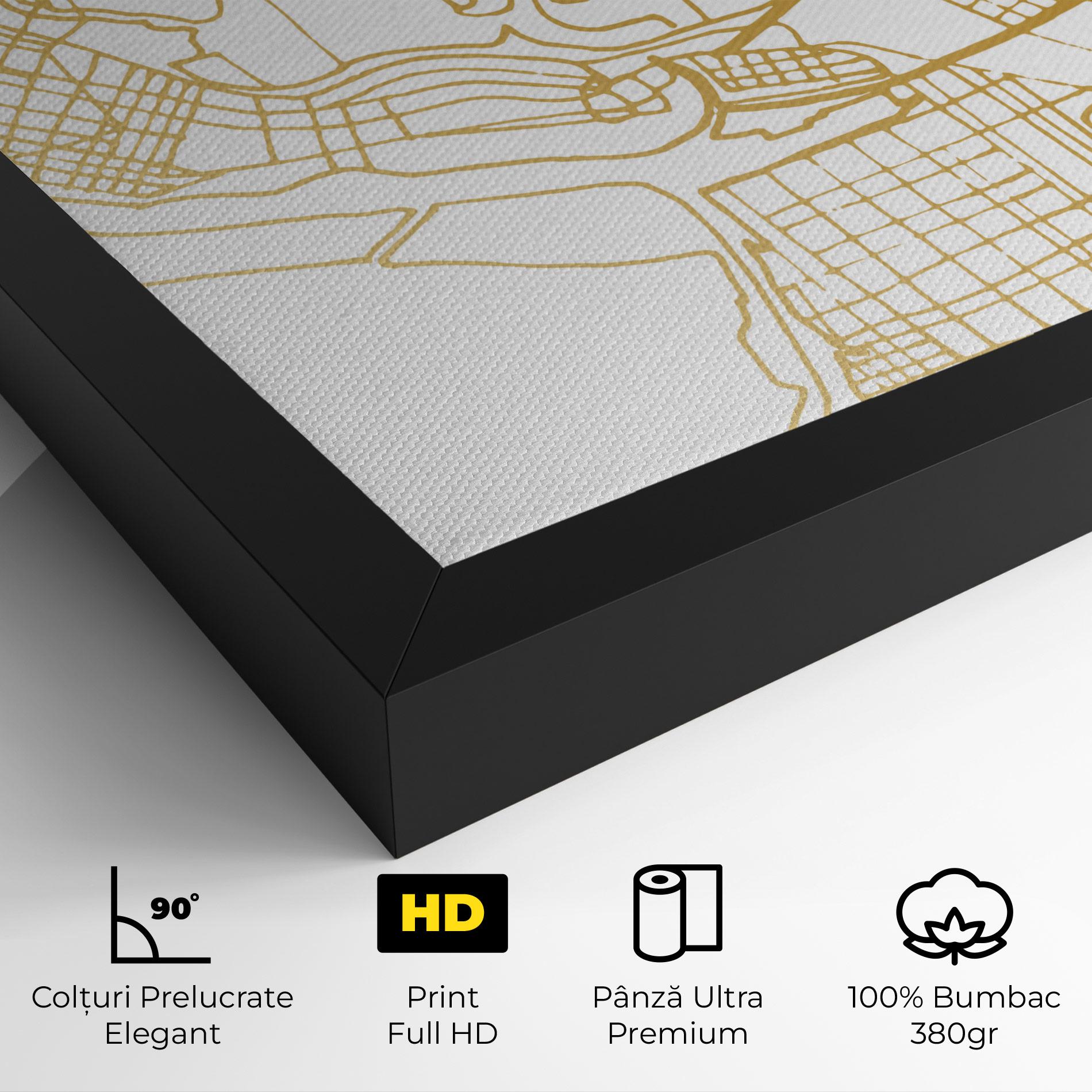 Tablou Canvas Abu Dhabi Map mockup 4