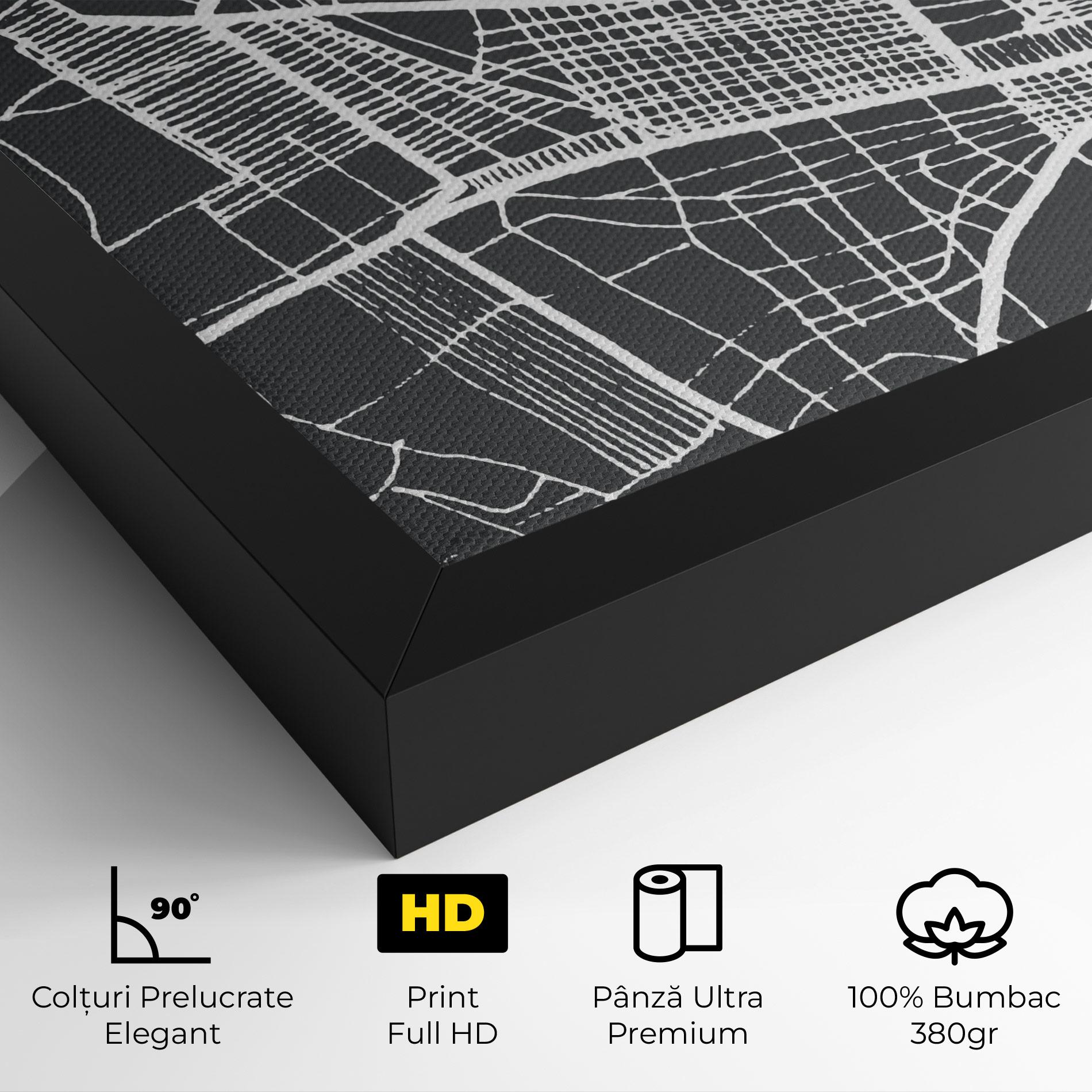 Tablou Canvas Bangui Map mockup 4