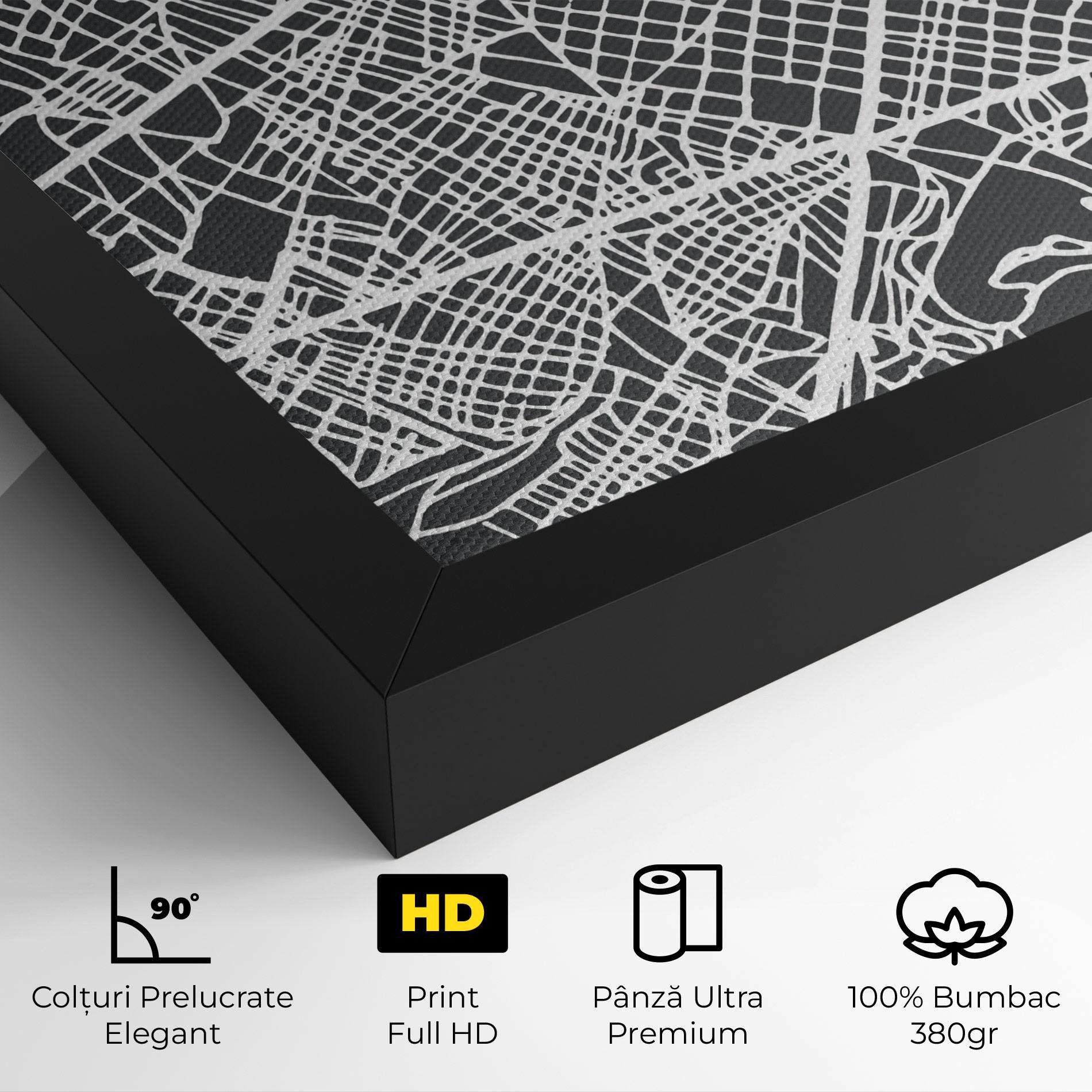 Tablou Canvas Barcelona Map mockup 4