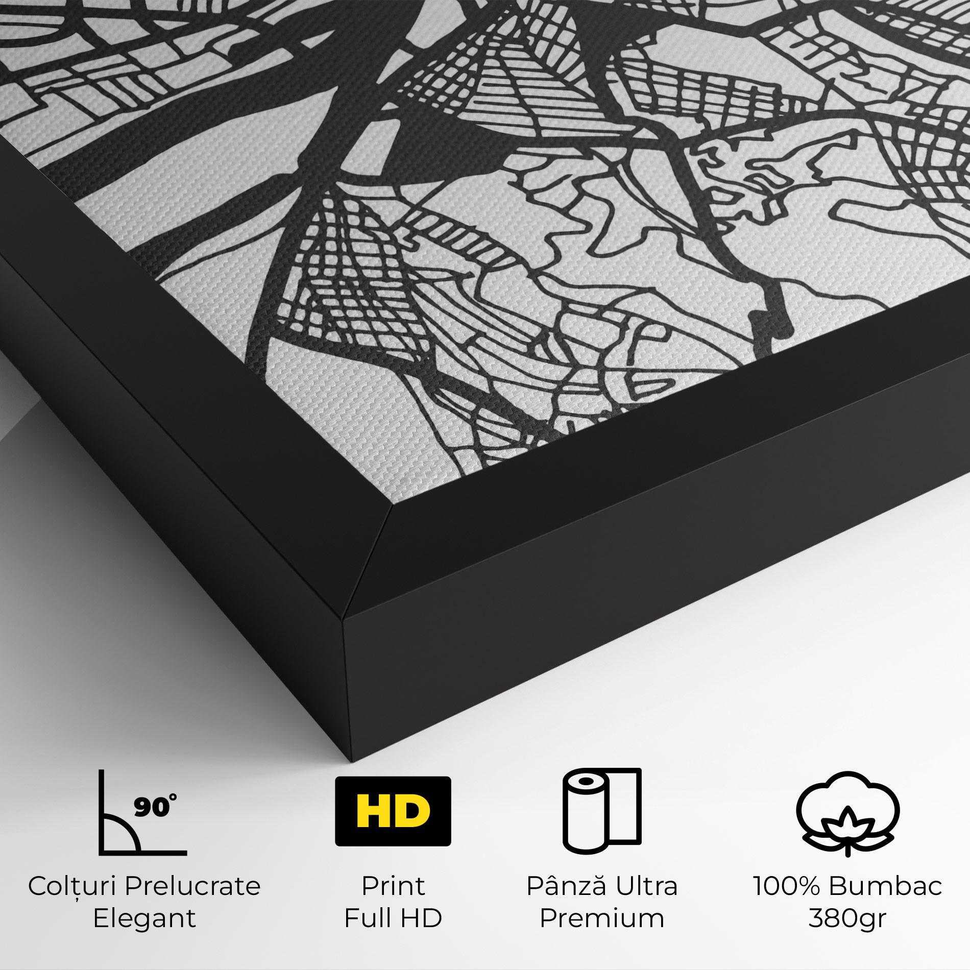 Tablou Canvas Belgrade Map mockup 4