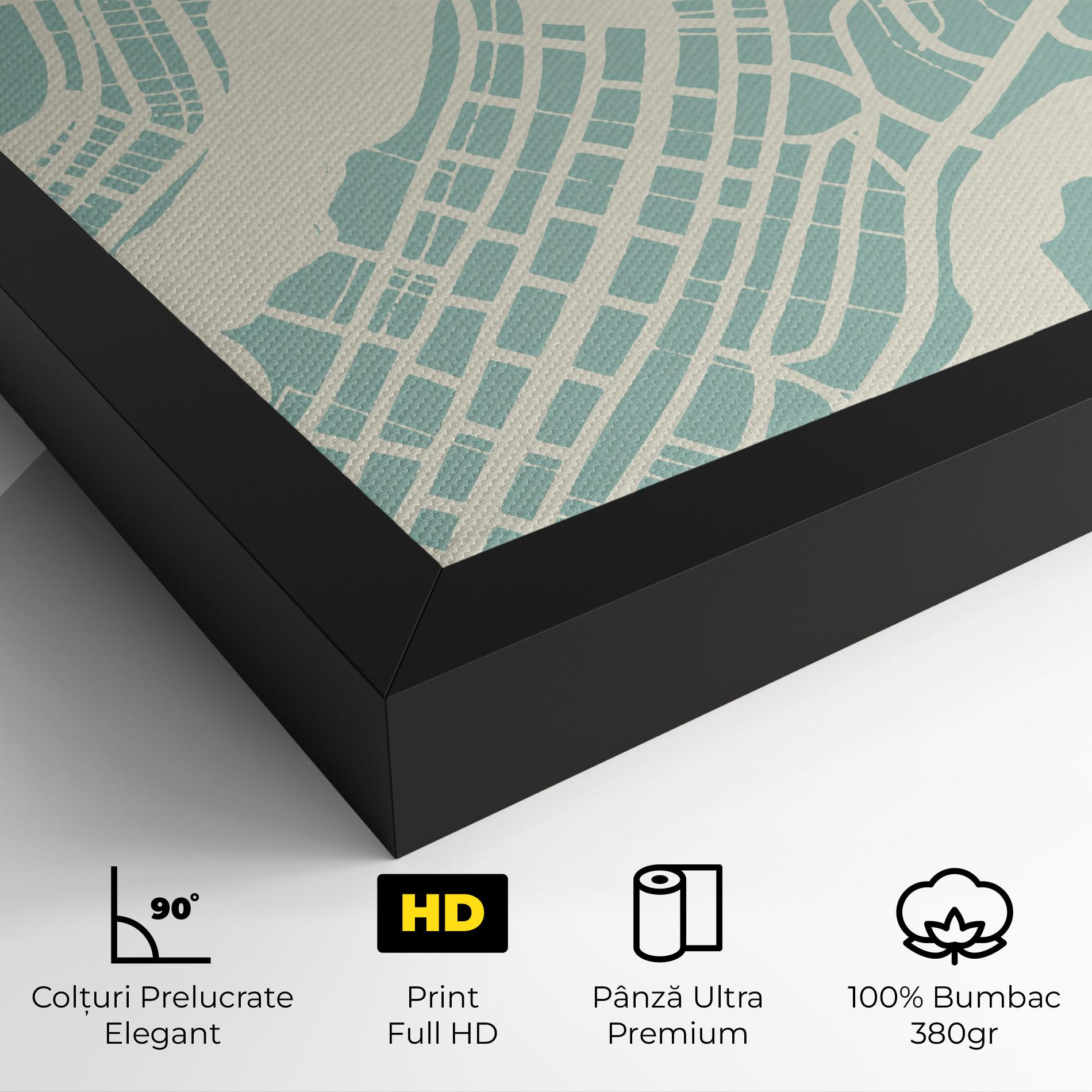 Tablou Canvas Brasilia Map mockup 4
