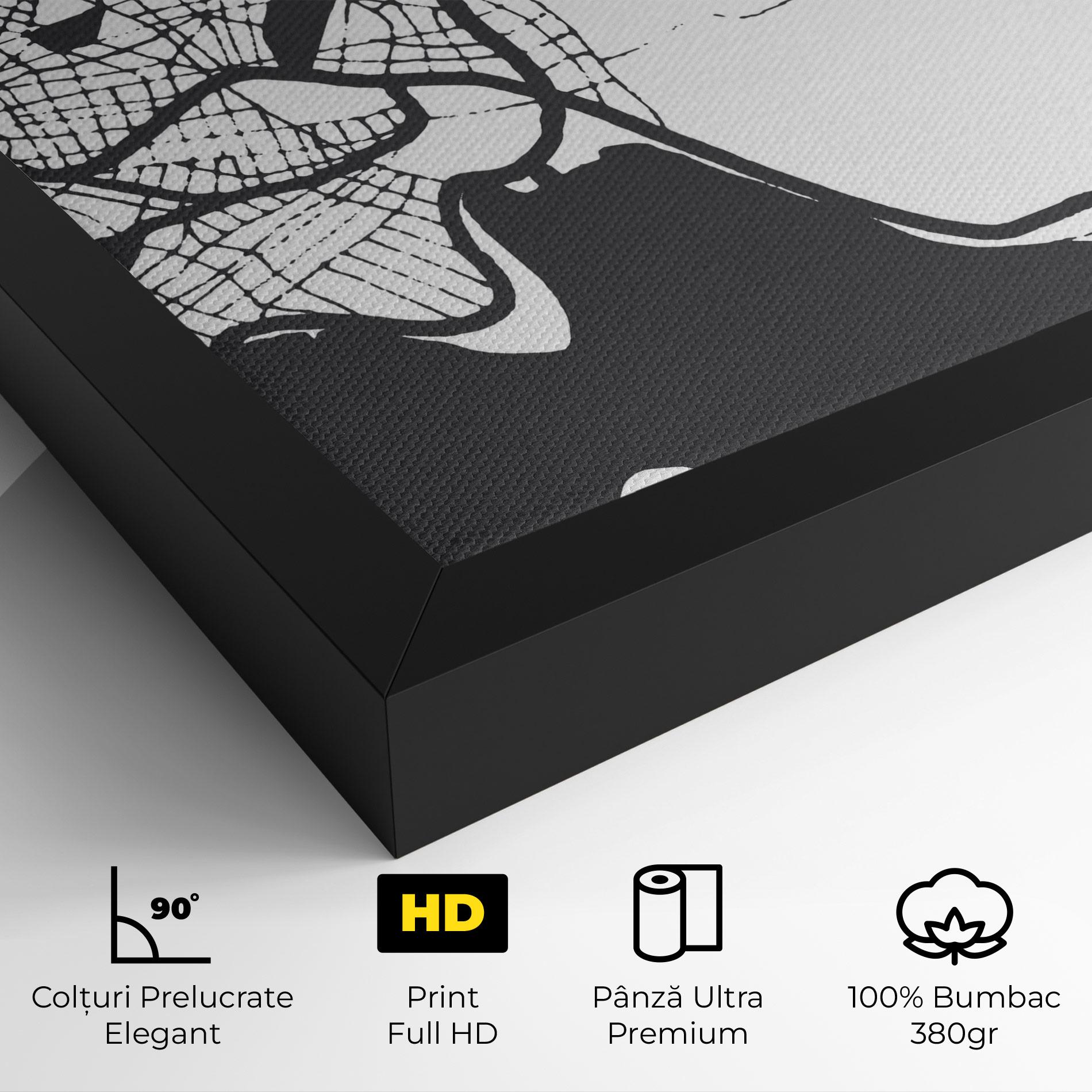 Tablou Canvas Chalcis Map mockup 4